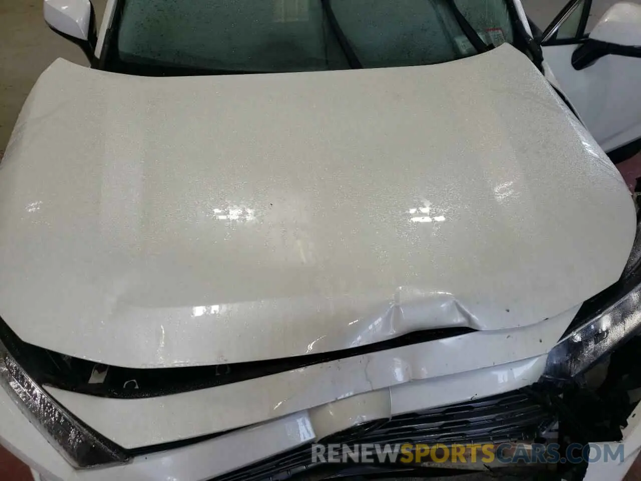 12 Photograph of a damaged car 2T3N1RFVXKC011646 TOYOTA RAV4 2019