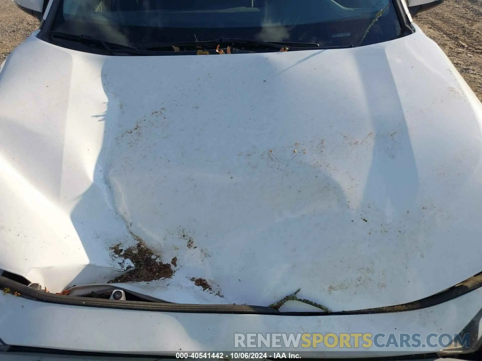 10 Photograph of a damaged car 2T3P1RFV4KW059764 TOYOTA RAV4 2019