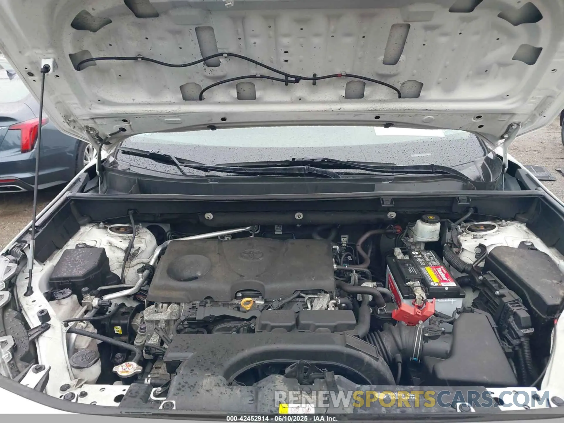 10 Photograph of a damaged car 2T3P1RFV5KC021249 TOYOTA RAV4 2019