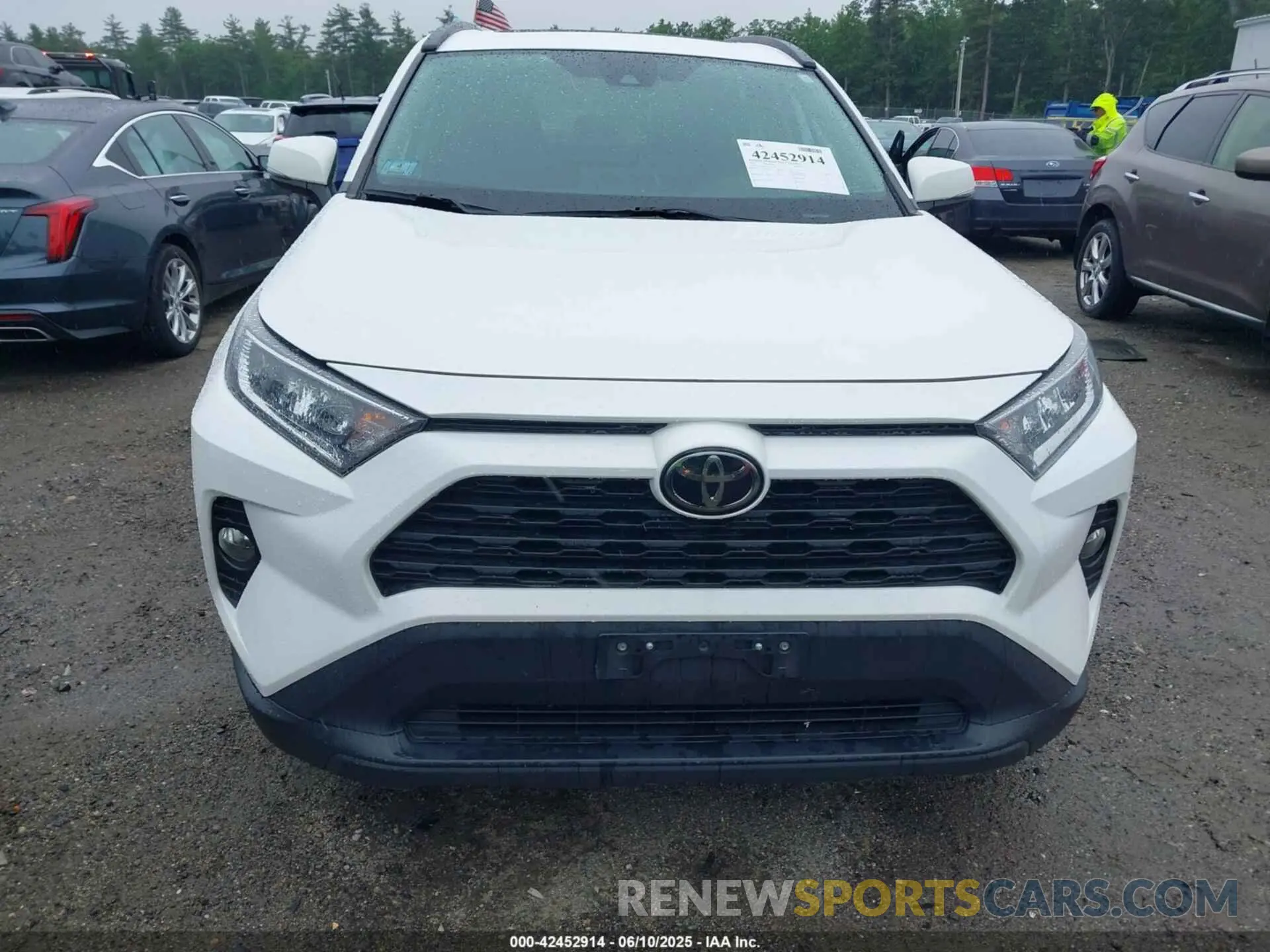 12 Photograph of a damaged car 2T3P1RFV5KC021249 TOYOTA RAV4 2019