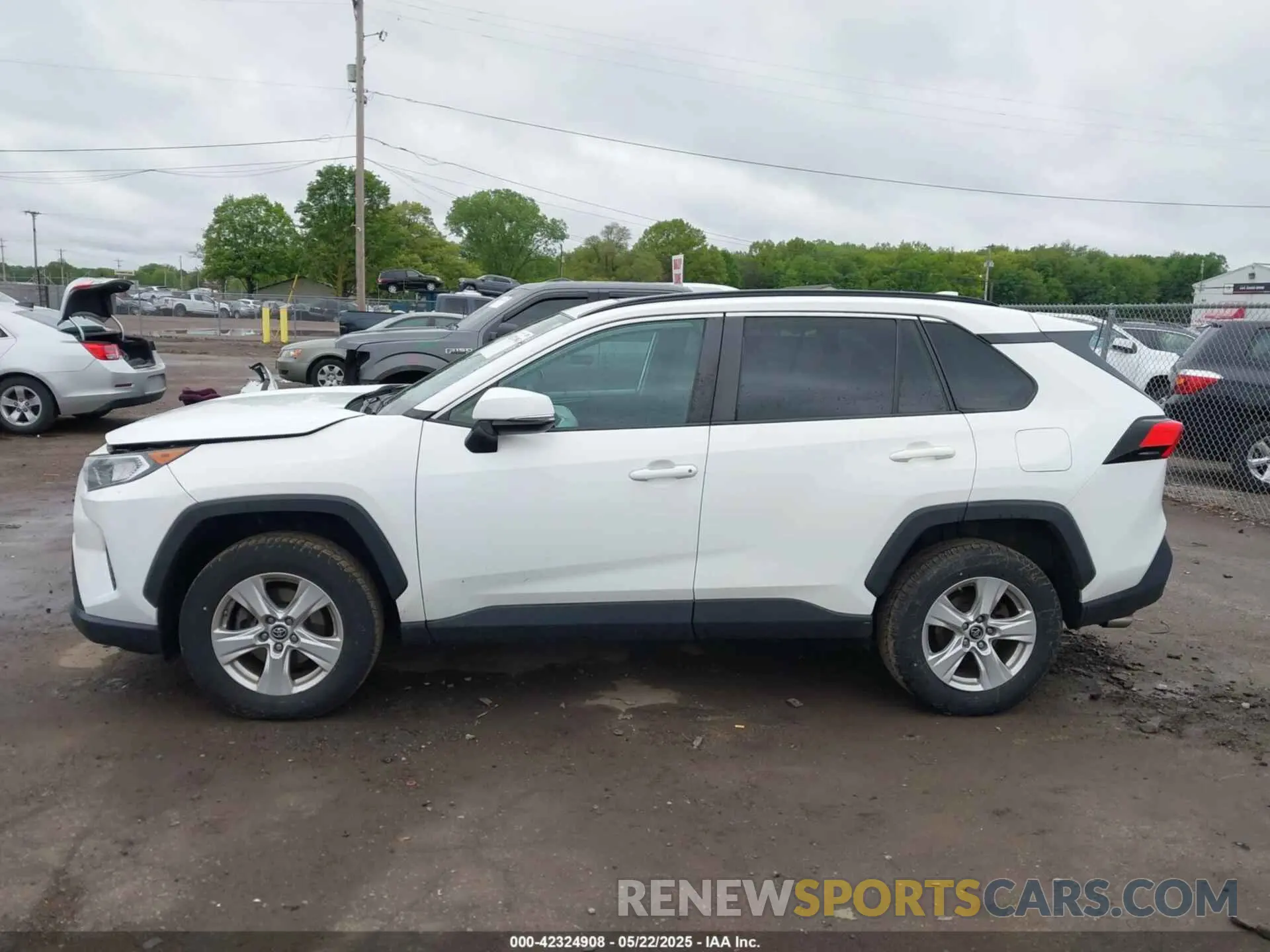 14 Photograph of a damaged car 2T3P1RFV8KC017048 TOYOTA RAV4 2019