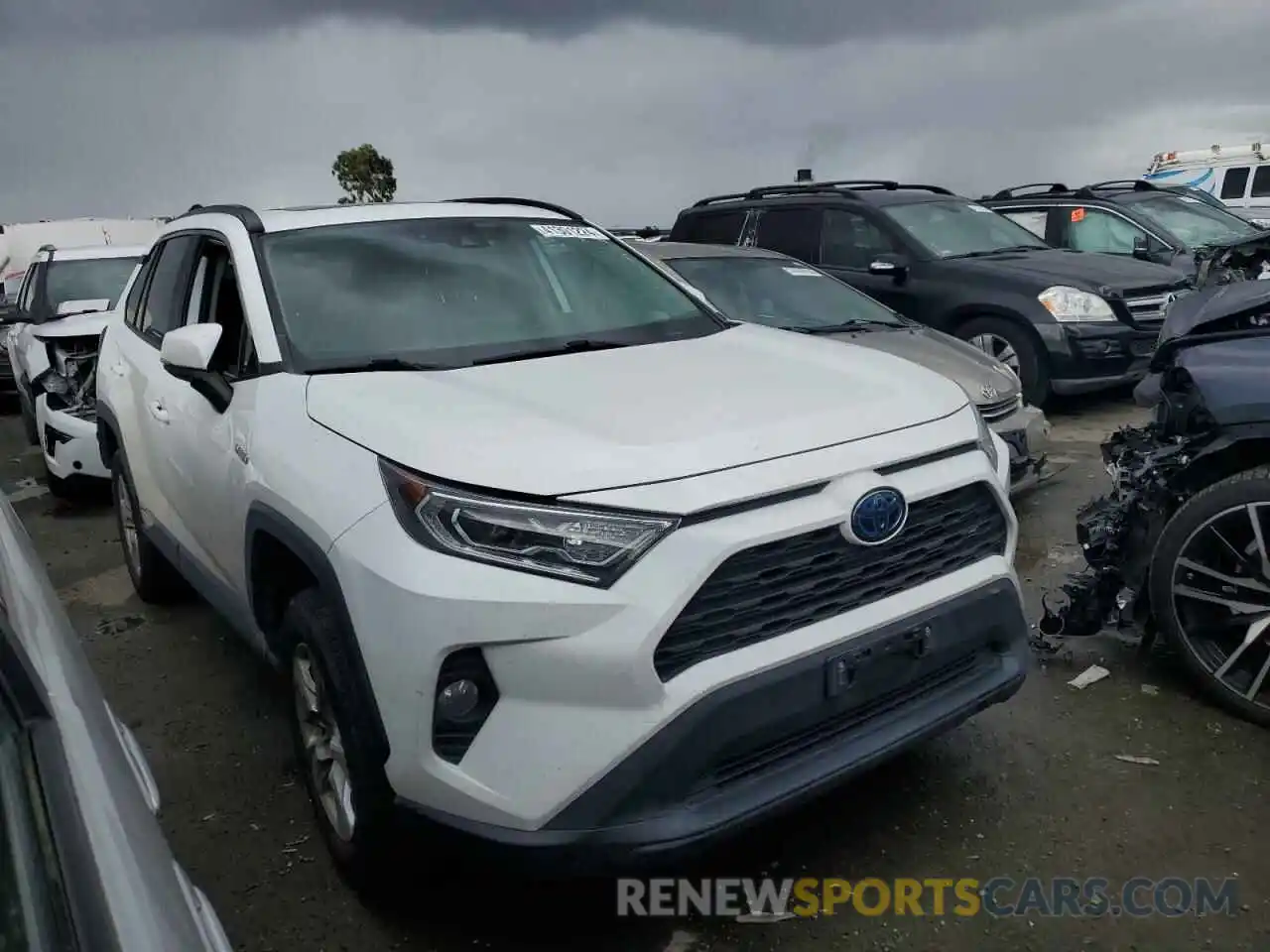 4 Photograph of a damaged car 2T3RWRFV0KW024875 TOYOTA RAV4 2019