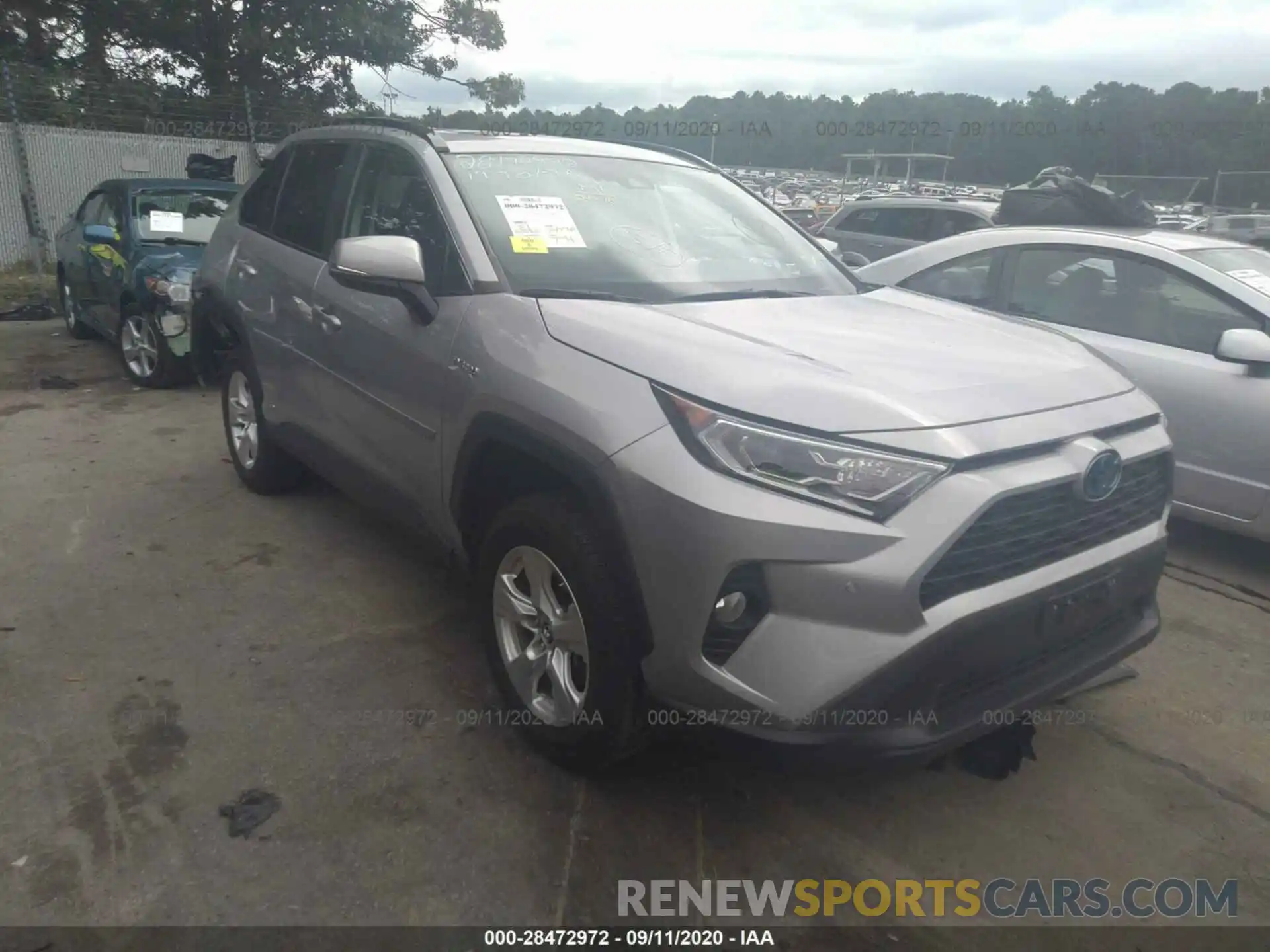 1 Photograph of a damaged car 2T3RWRFV3KW026295 TOYOTA RAV4 2019