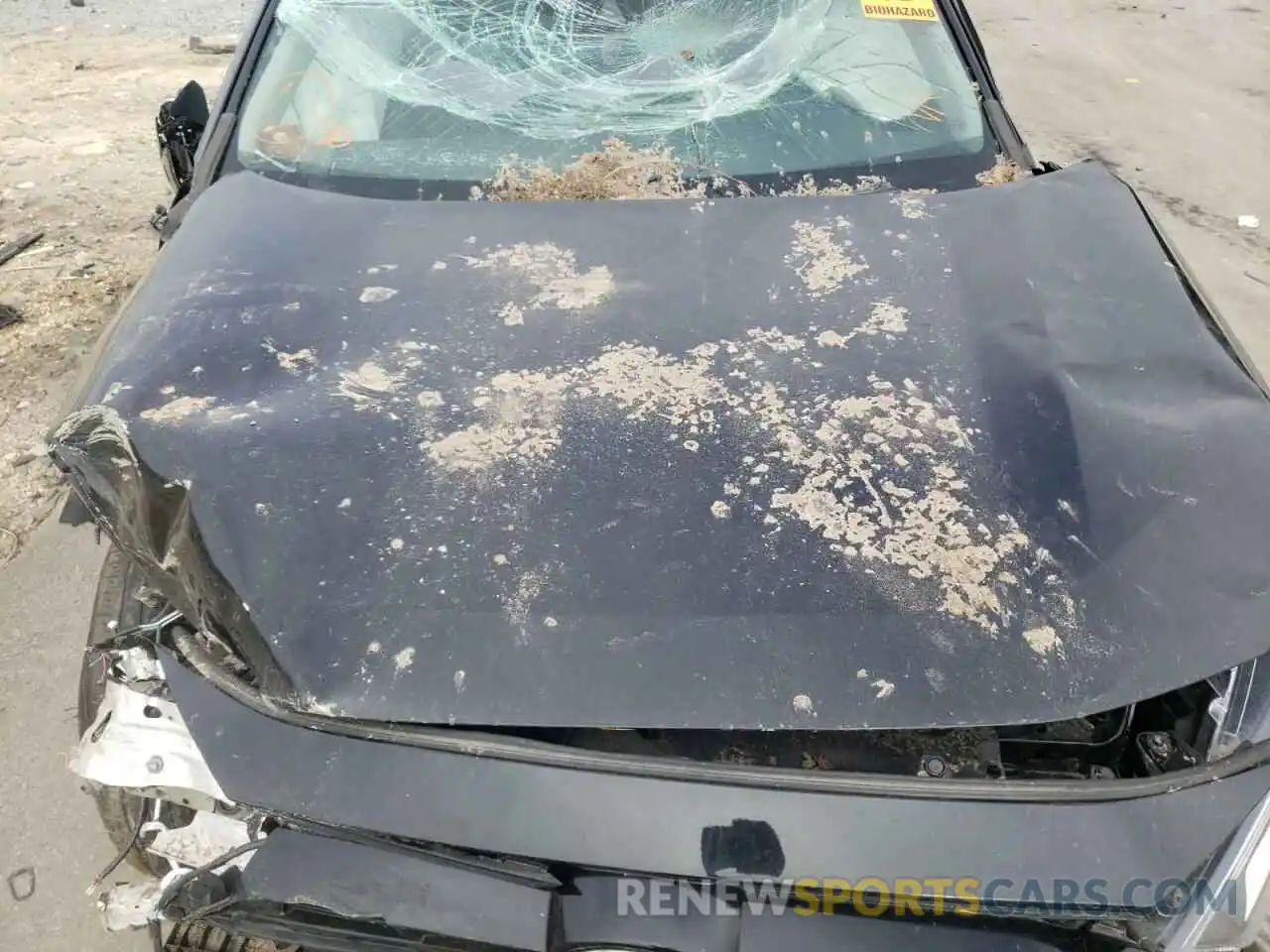 7 Photograph of a damaged car 2T3W1RFV1KW013529 TOYOTA RAV4 2019