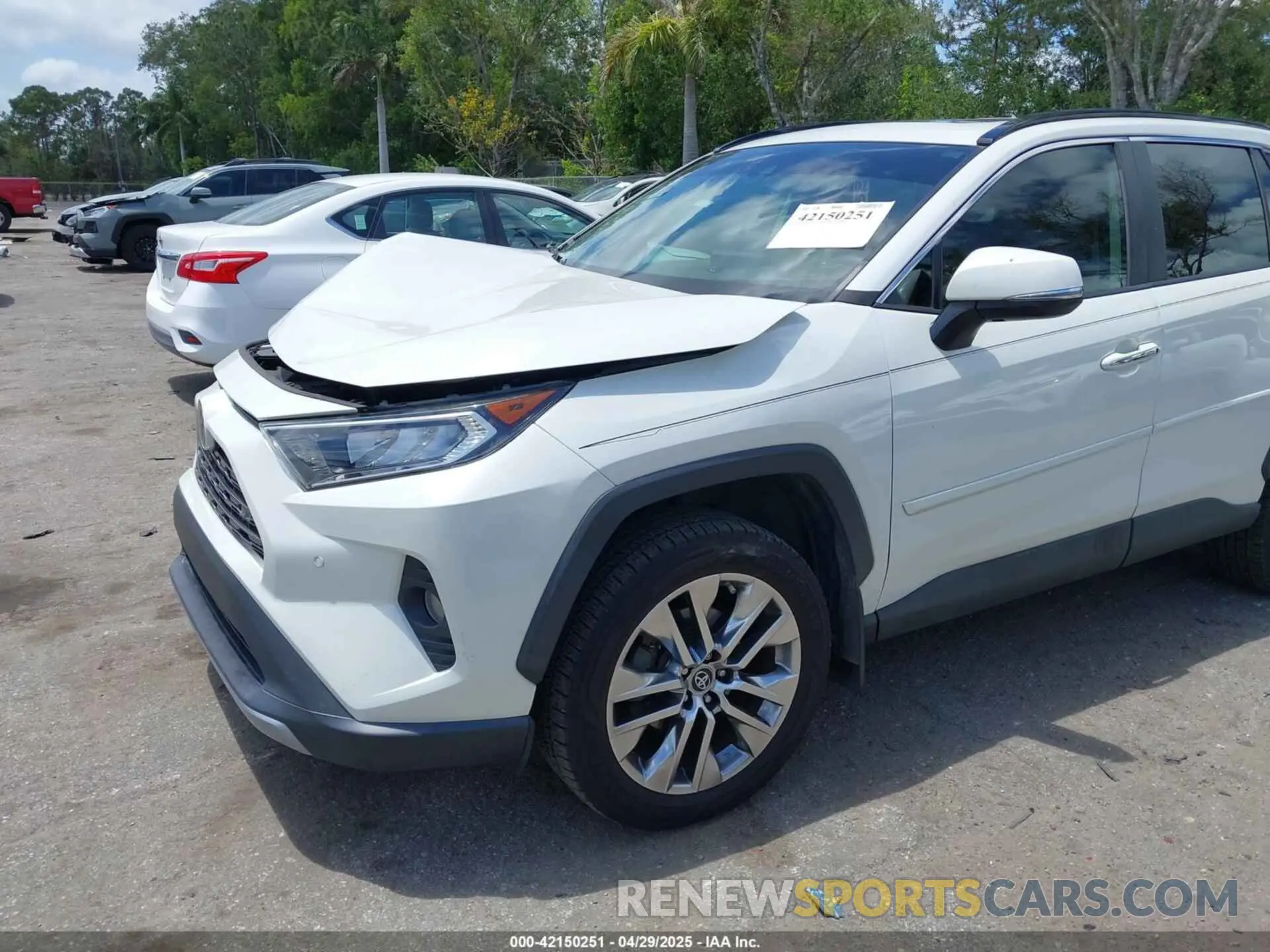 6 Photograph of a damaged car 2T3Y1RFV1KW042327 TOYOTA RAV4 2019