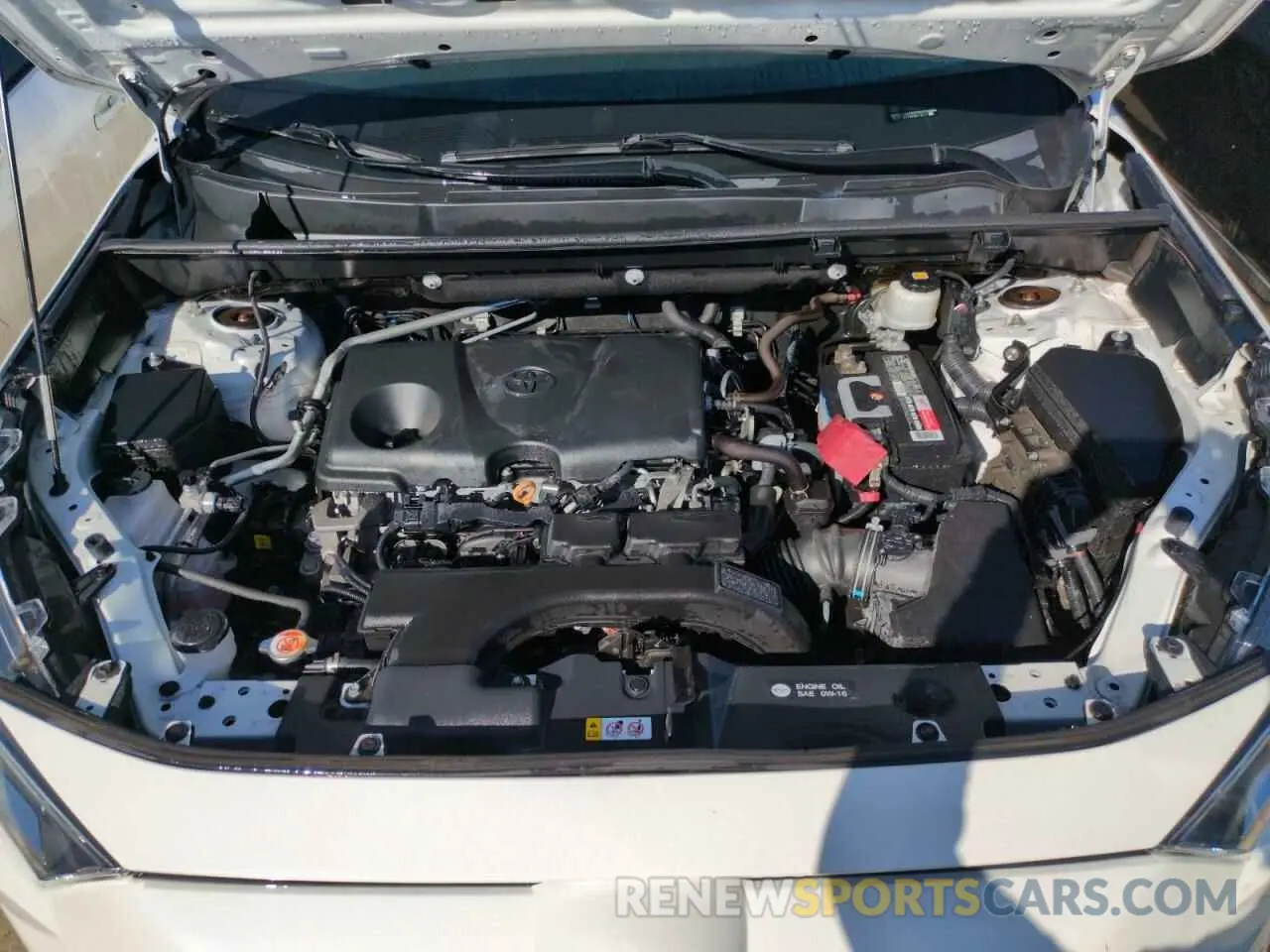 12 Photograph of a damaged car 2T3Y1RFV5KW013574 TOYOTA RAV4 2019