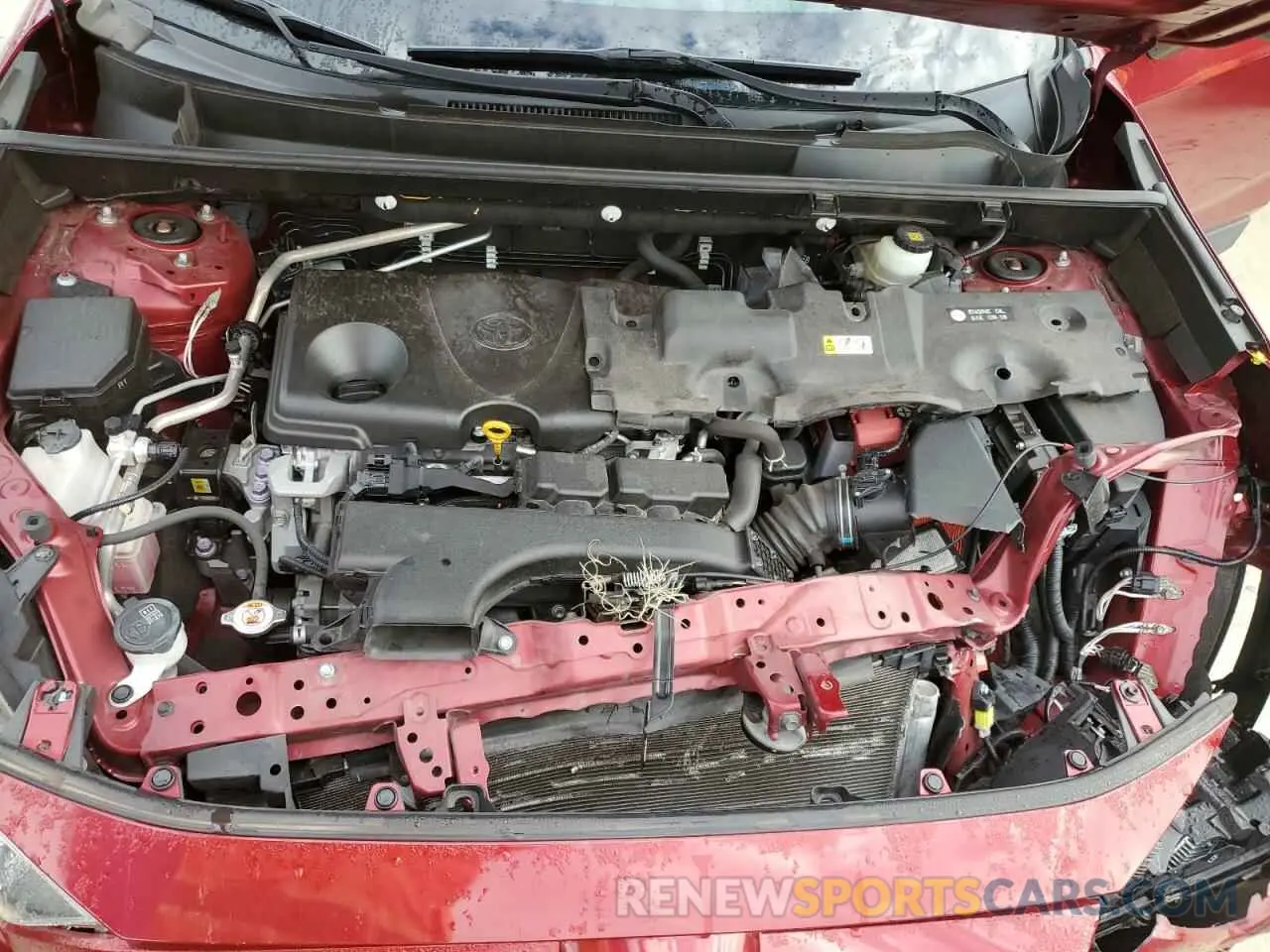 12 Photograph of a damaged car JTMC1RFV1KD033974 TOYOTA RAV4 2019