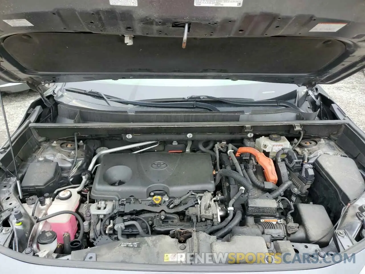 12 Photograph of a damaged car JTMDWRFV2KD028319 TOYOTA RAV4 2019