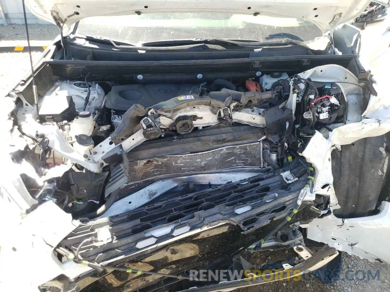 7 Photograph of a damaged car JTMEWRFV6KD516189 TOYOTA RAV4 2019