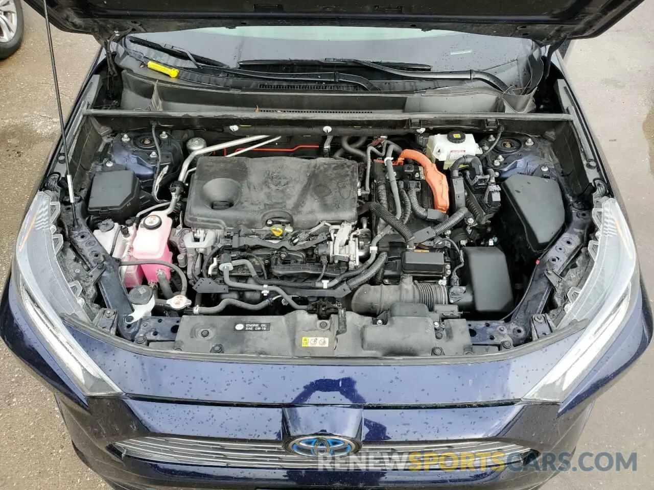 12 Photograph of a damaged car JTMEWRFV6KJ004109 TOYOTA RAV4 2019