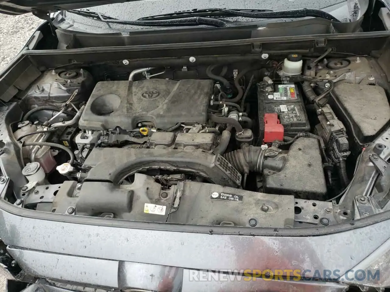 12 Photograph of a damaged car JTMF1RFV1KD502039 TOYOTA RAV4 2019