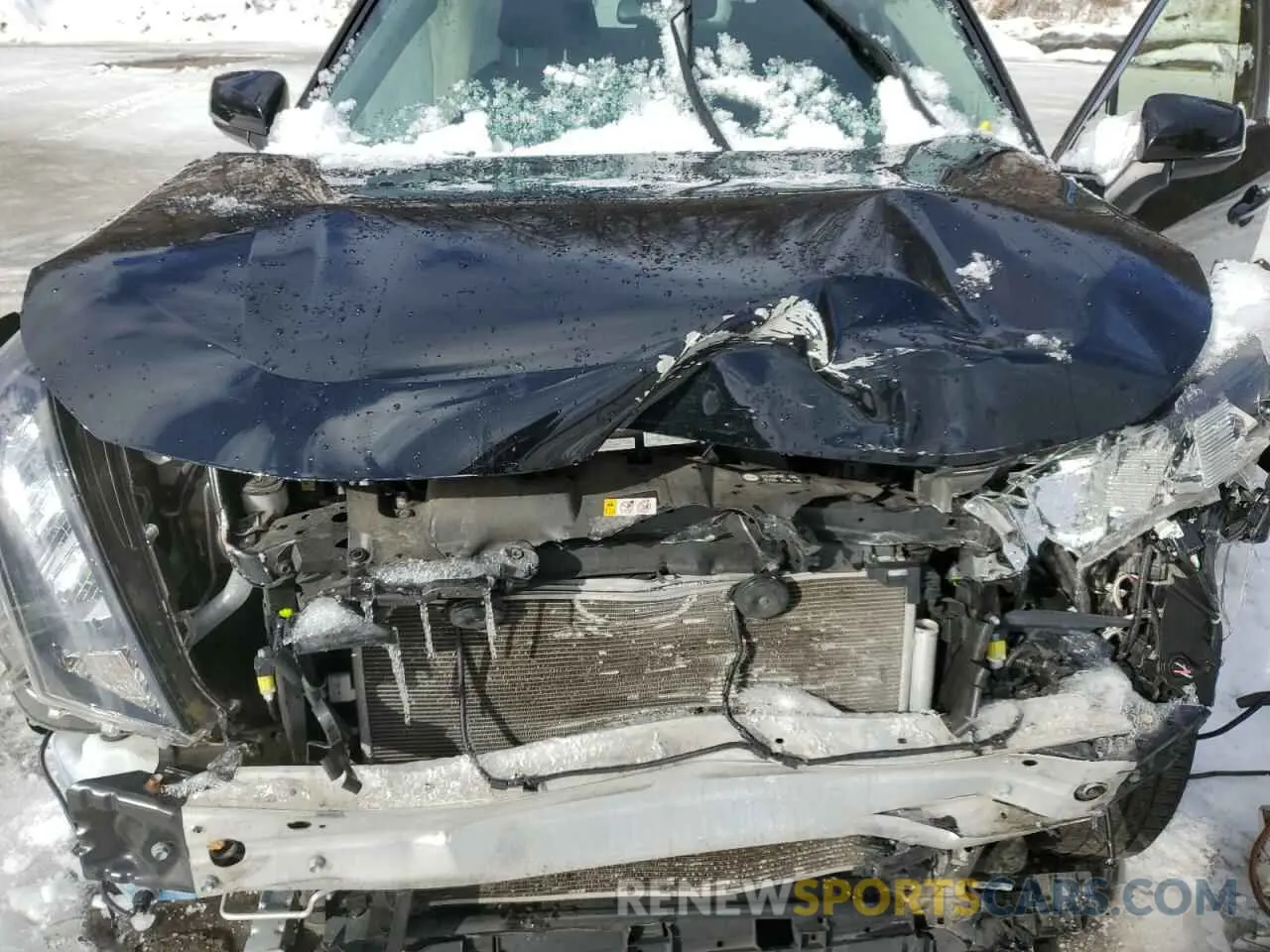 12 Photograph of a damaged car JTMG1RFV1KD033183 TOYOTA RAV4 2019