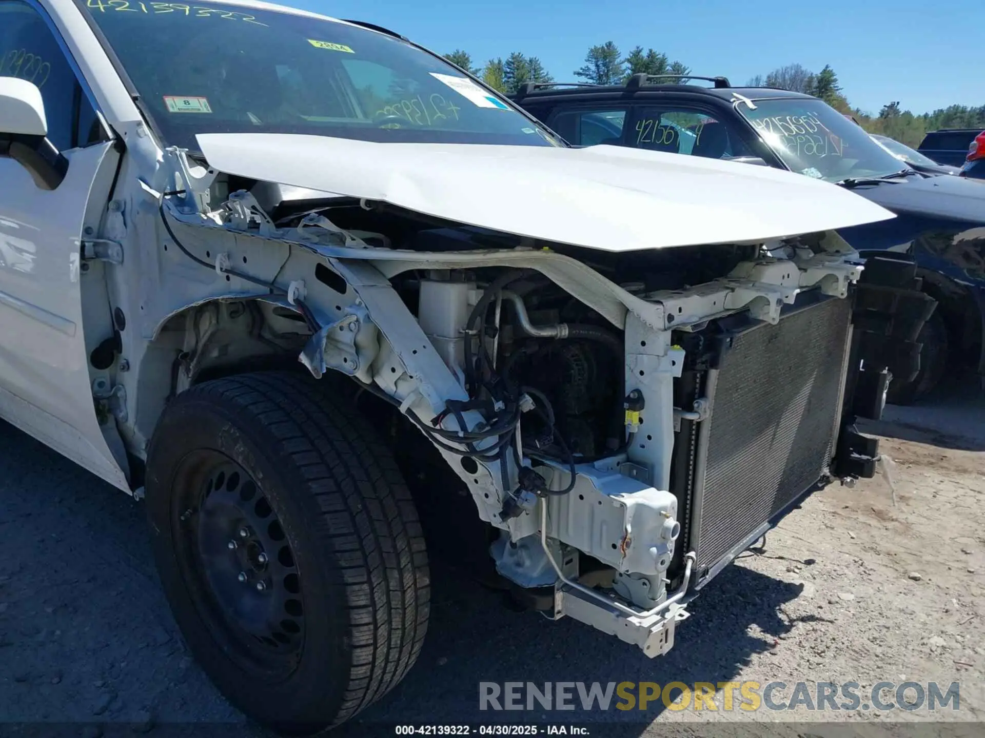 6 Photograph of a damaged car JTMG1RFV3KD007040 TOYOTA RAV4 2019