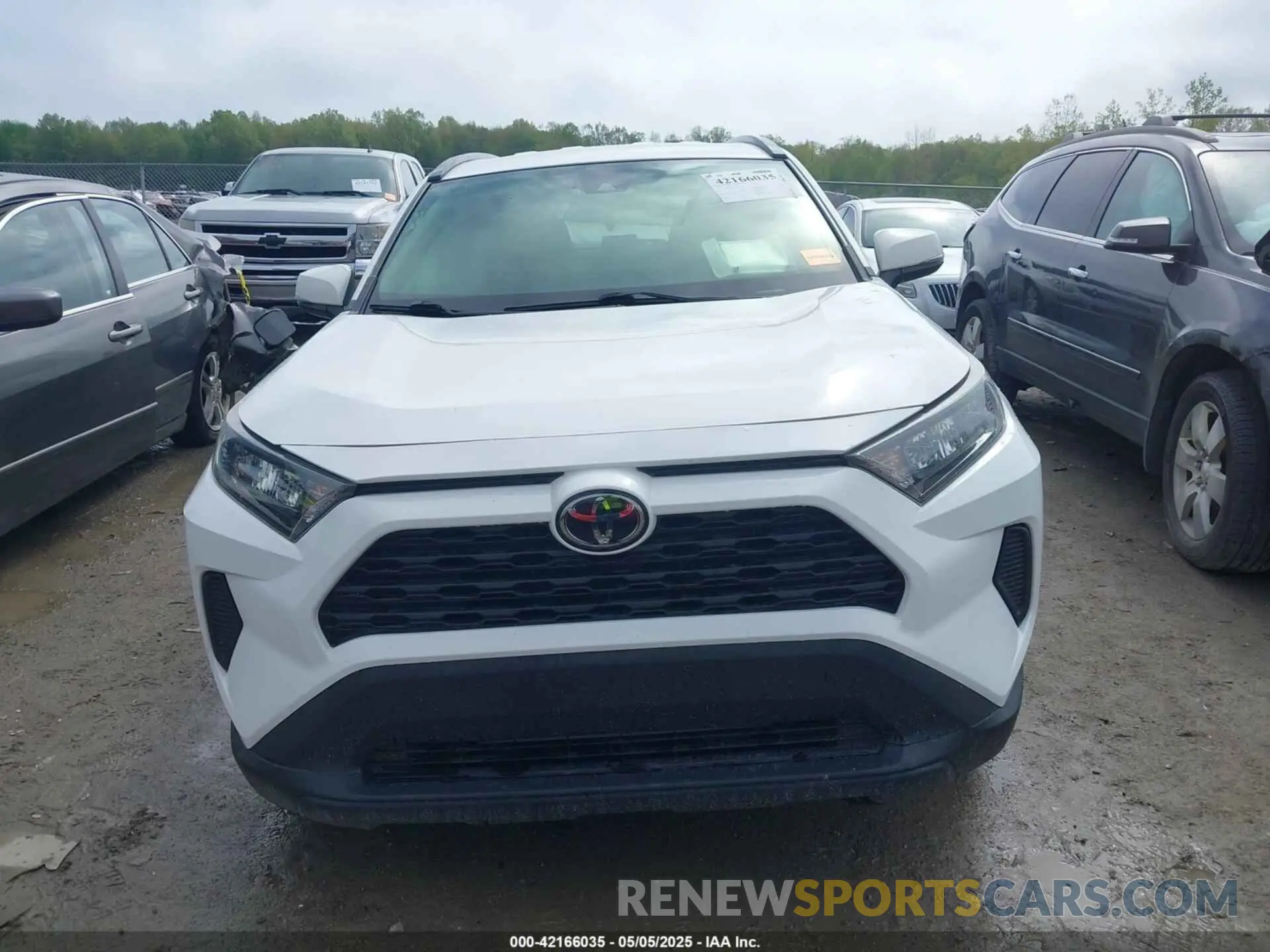 13 Photograph of a damaged car JTMG1RFV4KD022825 TOYOTA RAV4 2019