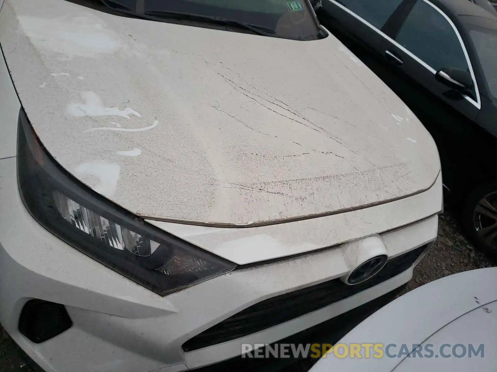 7 Photograph of a damaged car JTMG1RFV9KJ012177 TOYOTA RAV4 2019