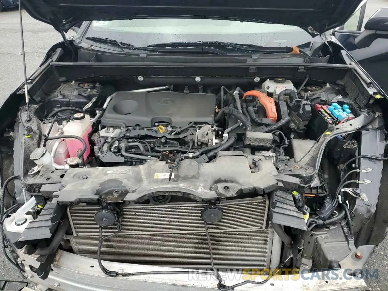 12 Photograph of a damaged car JTMMWRFV5KD028430 TOYOTA RAV4 2019