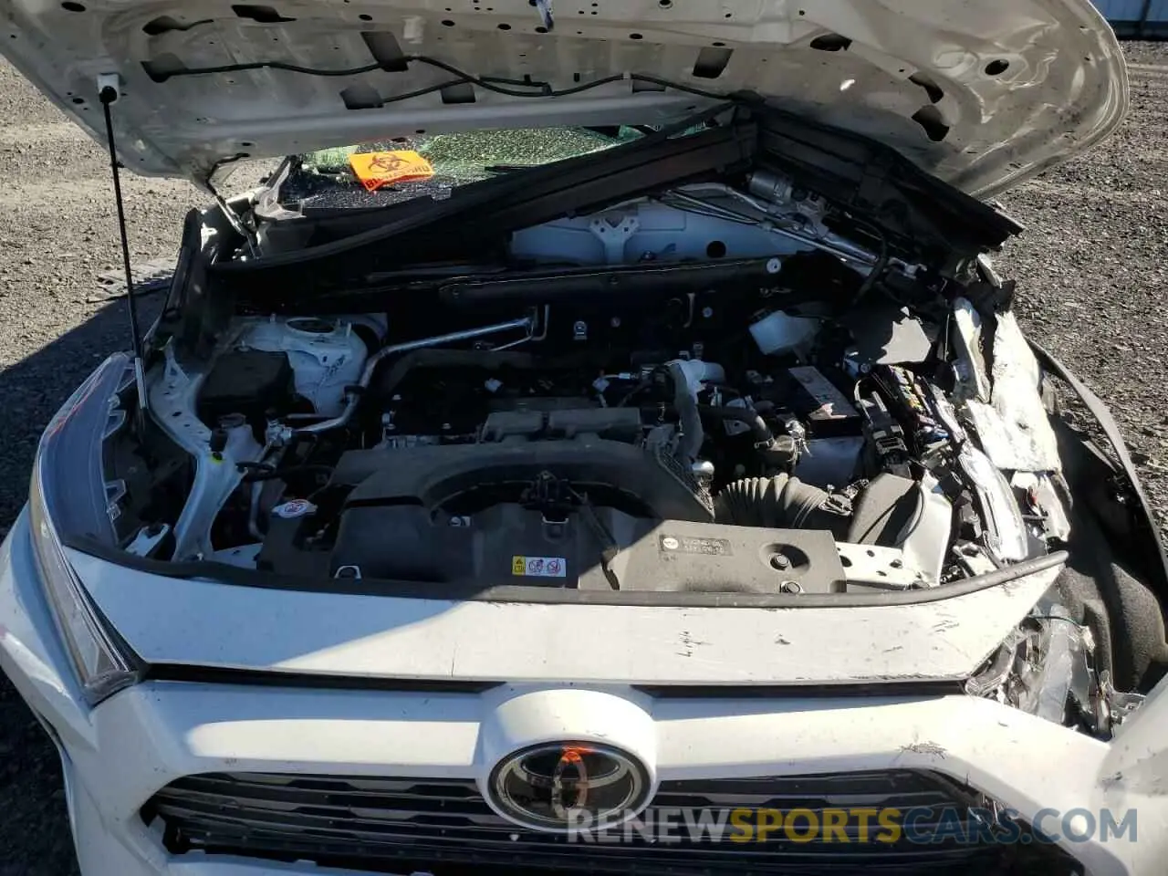 12 Photograph of a damaged car JTMN1RFV1KD510346 TOYOTA RAV4 2019