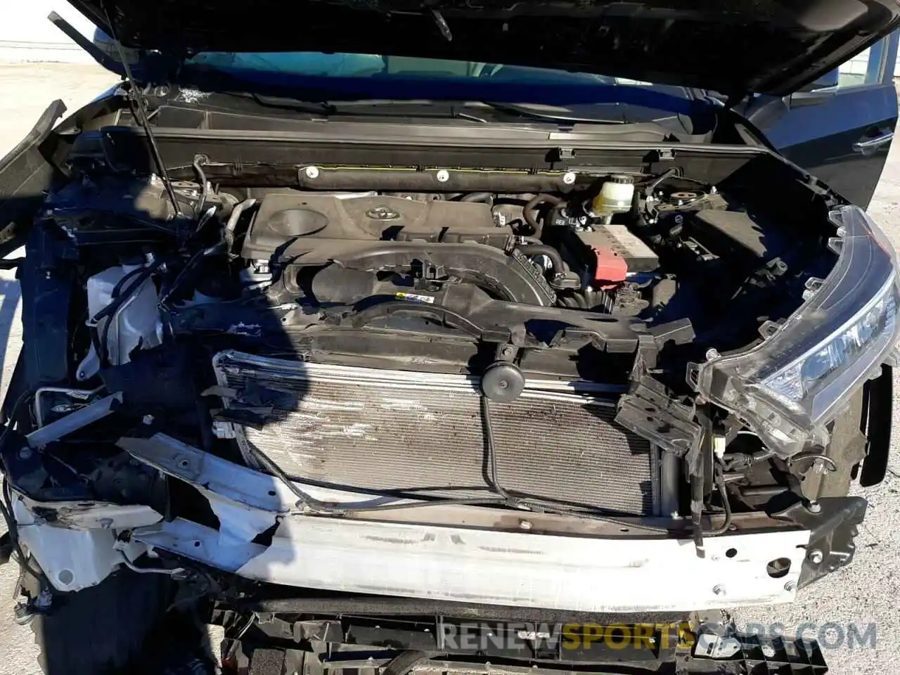 12 Photograph of a damaged car JTMN1RFV4KD505304 TOYOTA RAV4 2019