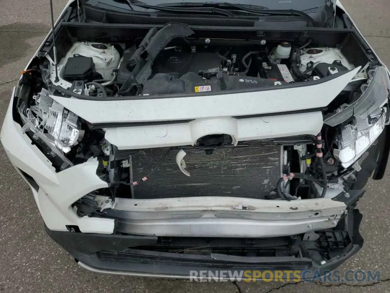 12 Photograph of a damaged car JTMN1RFV9KD513799 TOYOTA RAV4 2019