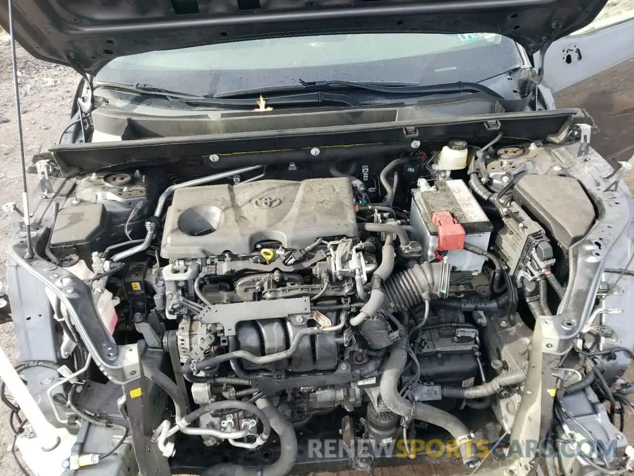 12 Photograph of a damaged car JTMP1RFV0KD039525 TOYOTA RAV4 2019