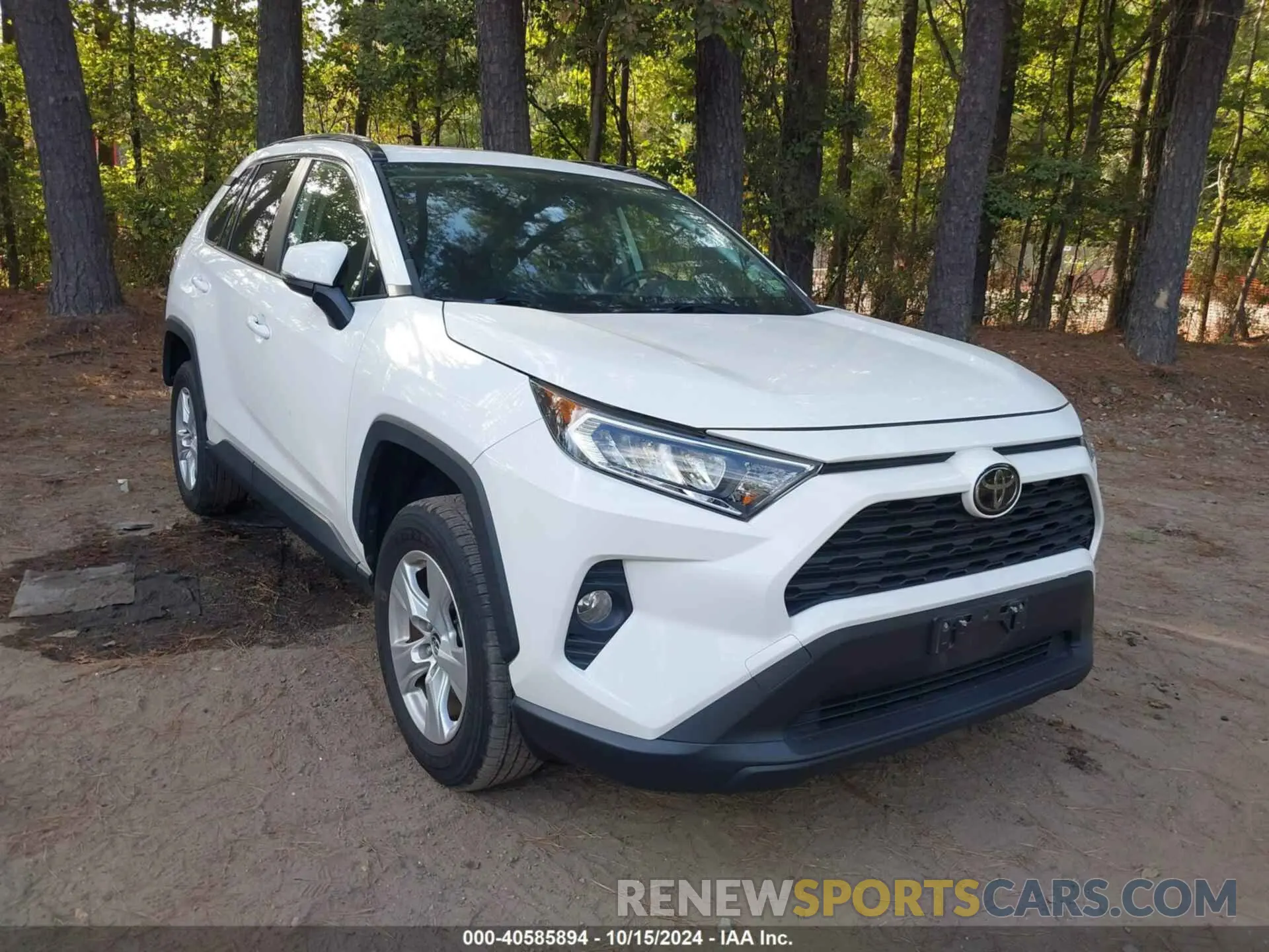 1 Photograph of a damaged car JTMP1RFV0KD504966 TOYOTA RAV4 2019