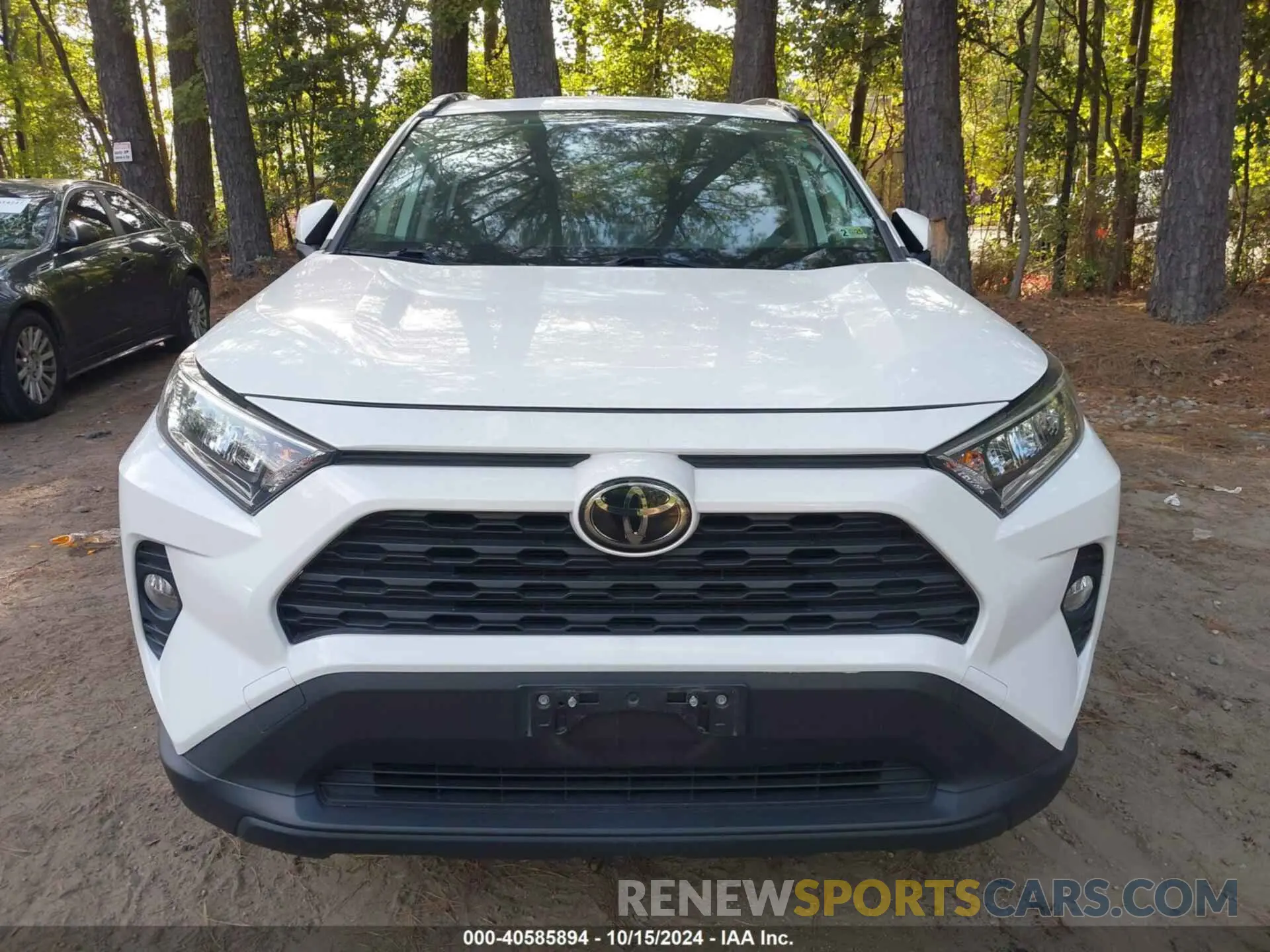 12 Photograph of a damaged car JTMP1RFV0KD504966 TOYOTA RAV4 2019