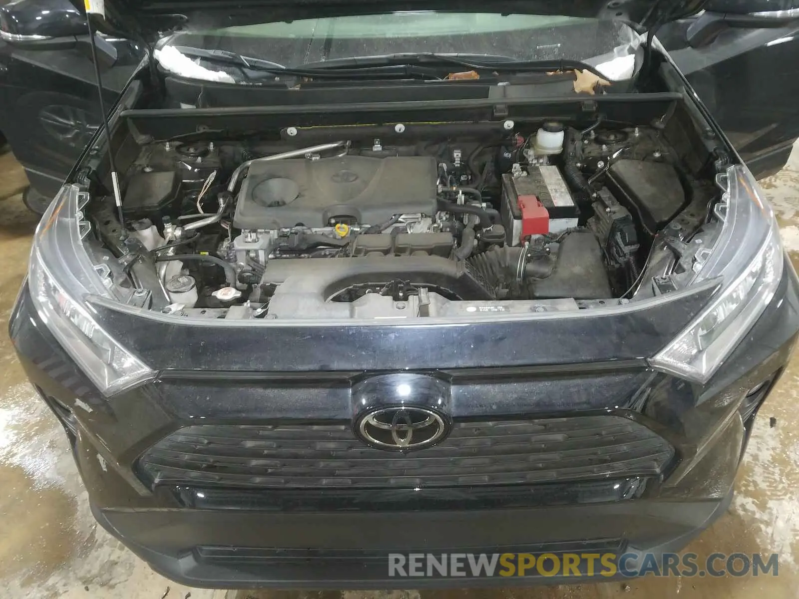 7 Photograph of a damaged car JTMP1RFV0KJ010091 TOYOTA RAV4 2019
