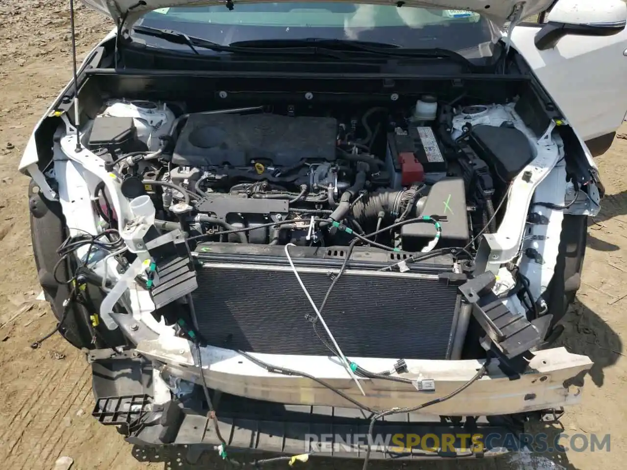 7 Photograph of a damaged car JTMP1RFV1KD032017 TOYOTA RAV4 2019