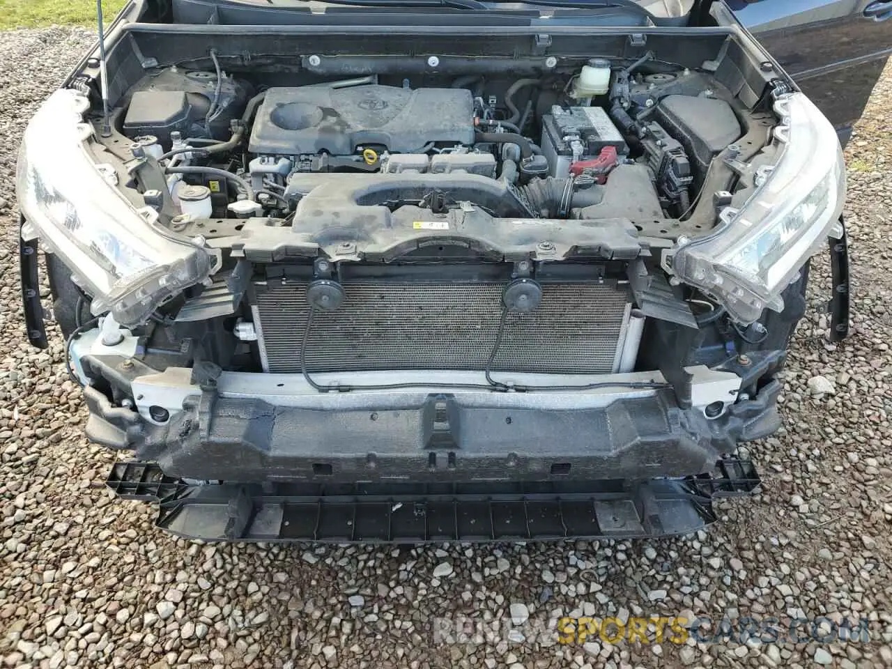 12 Photograph of a damaged car JTMP1RFV1KD034138 TOYOTA RAV4 2019