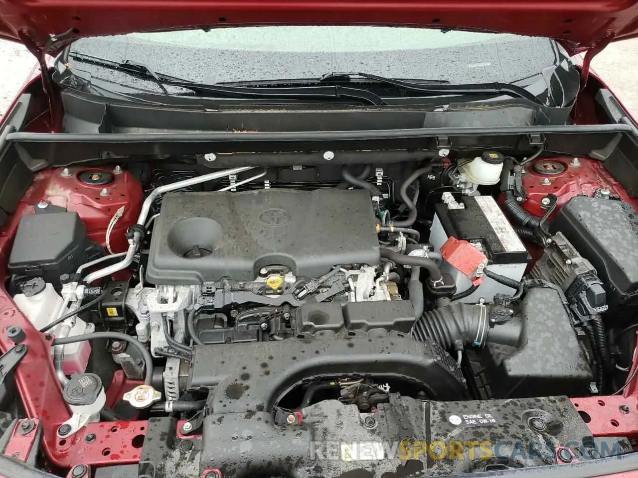 12 Photograph of a damaged car JTMP1RFV1KD522182 TOYOTA RAV4 2019