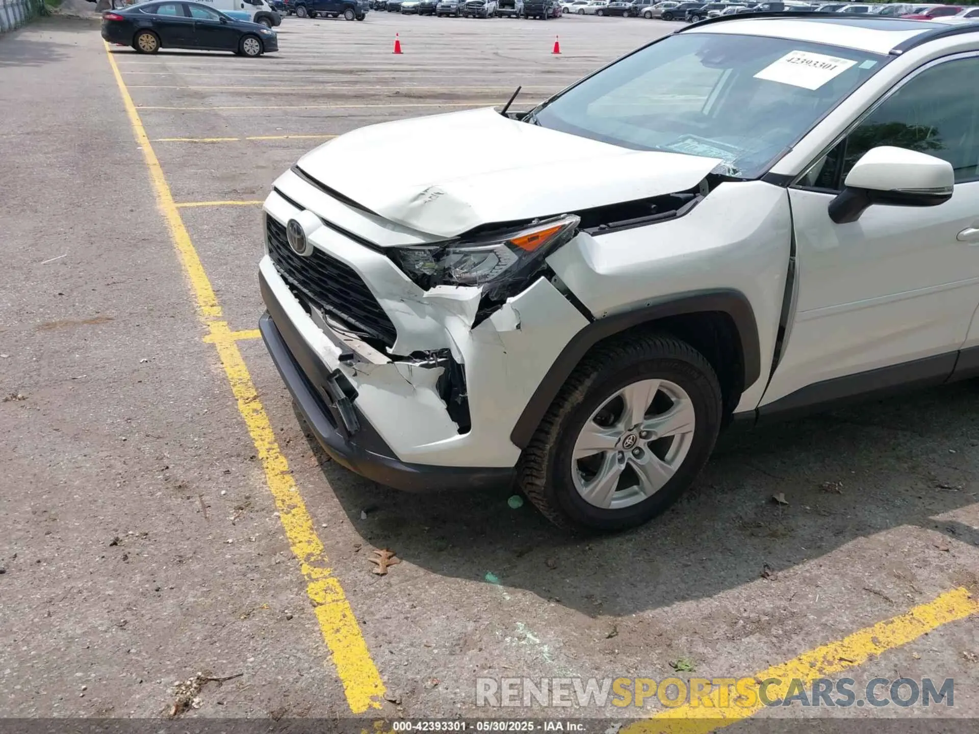 6 Photograph of a damaged car JTMP1RFV3KD046162 TOYOTA RAV4 2019