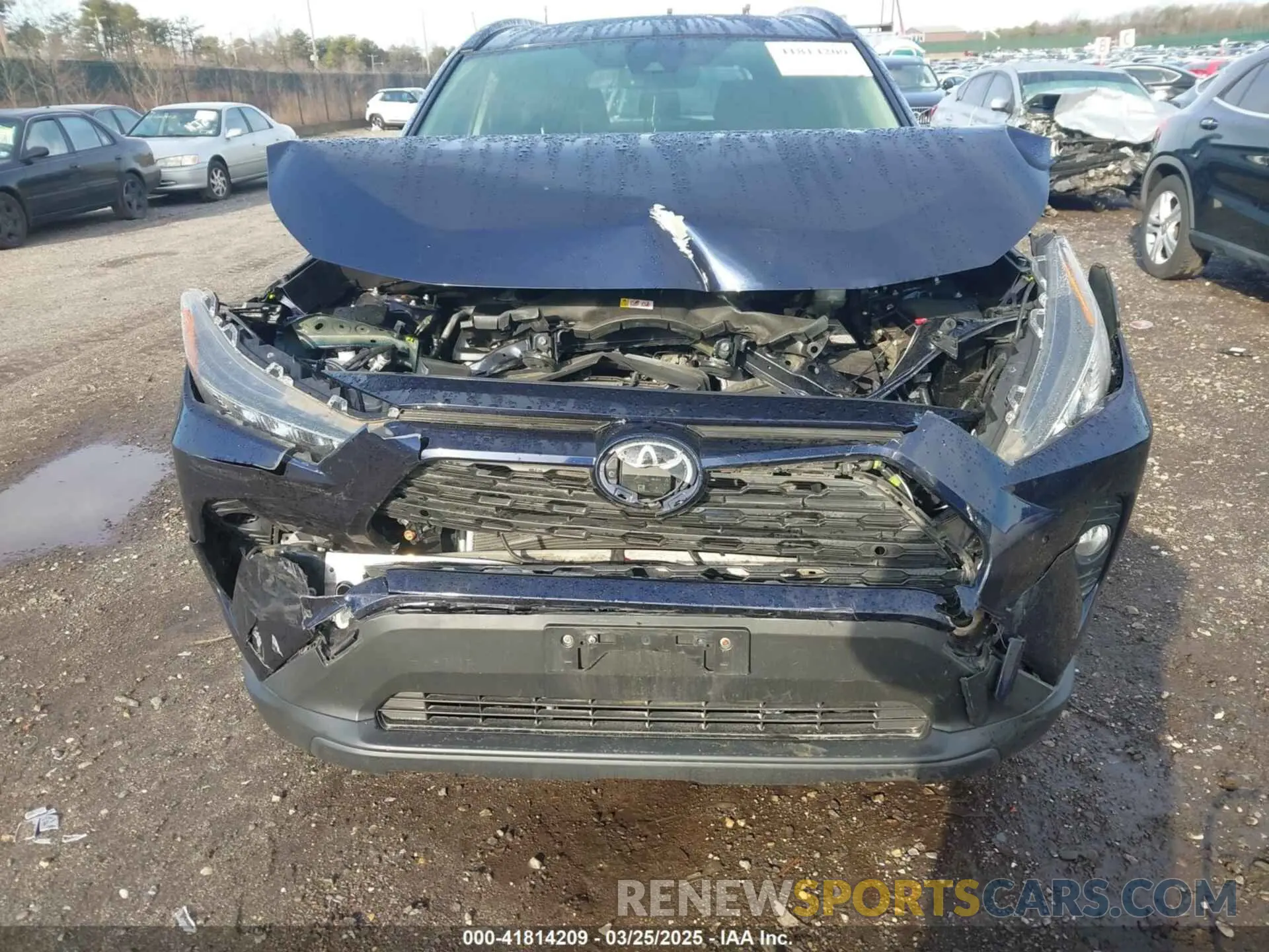 11 Photograph of a damaged car JTMP1RFV5KD023093 TOYOTA RAV4 2019