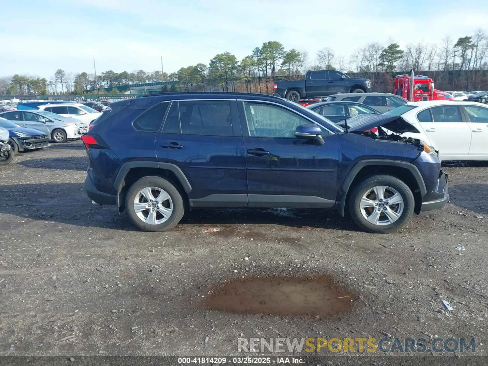 12 Photograph of a damaged car JTMP1RFV5KD023093 TOYOTA RAV4 2019