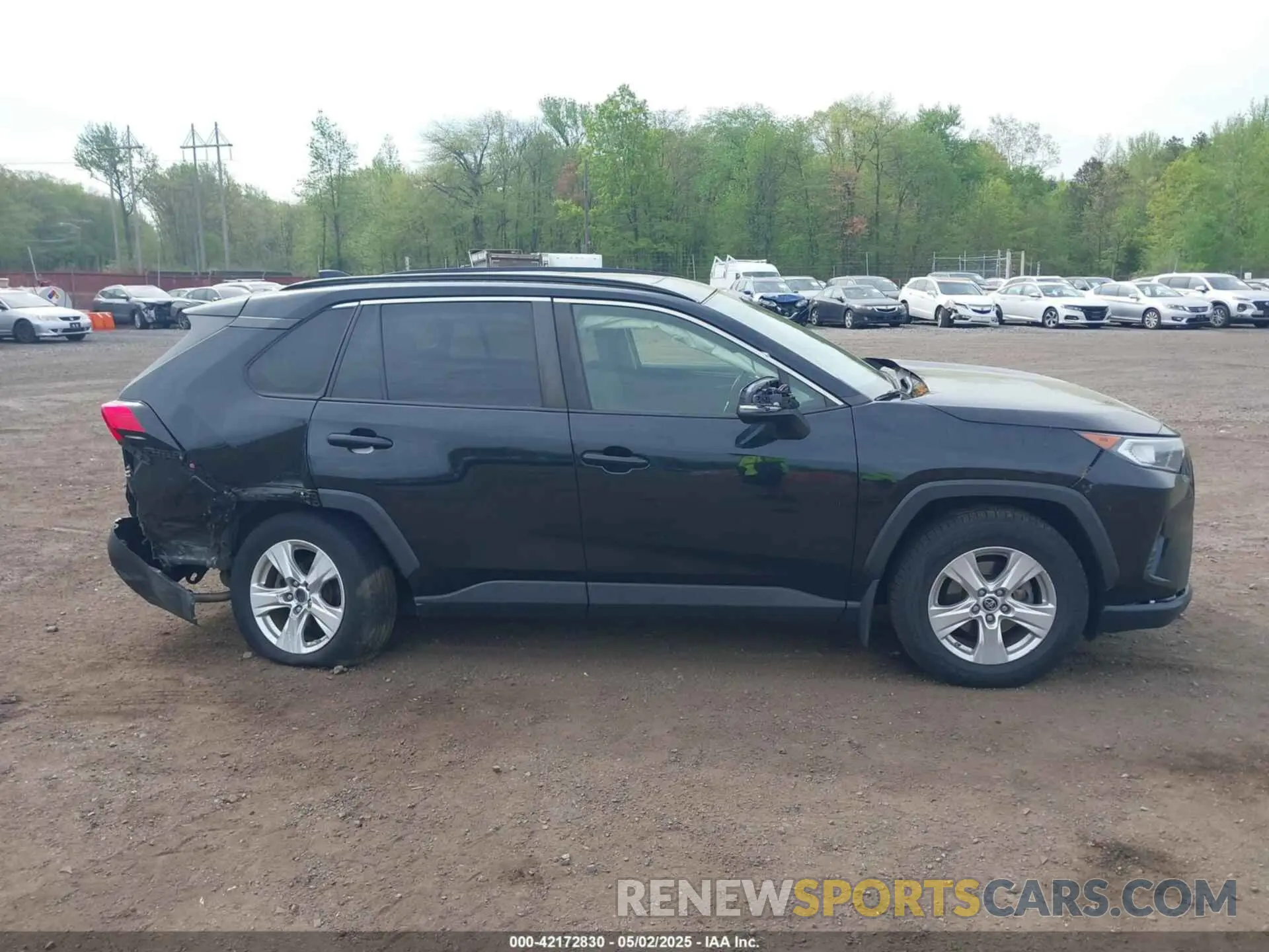 13 Photograph of a damaged car JTMP1RFV6KD500954 TOYOTA RAV4 2019