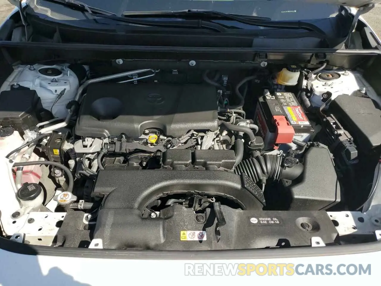 13 Photograph of a damaged car JTMP1RFV8KD009012 TOYOTA RAV4 2019