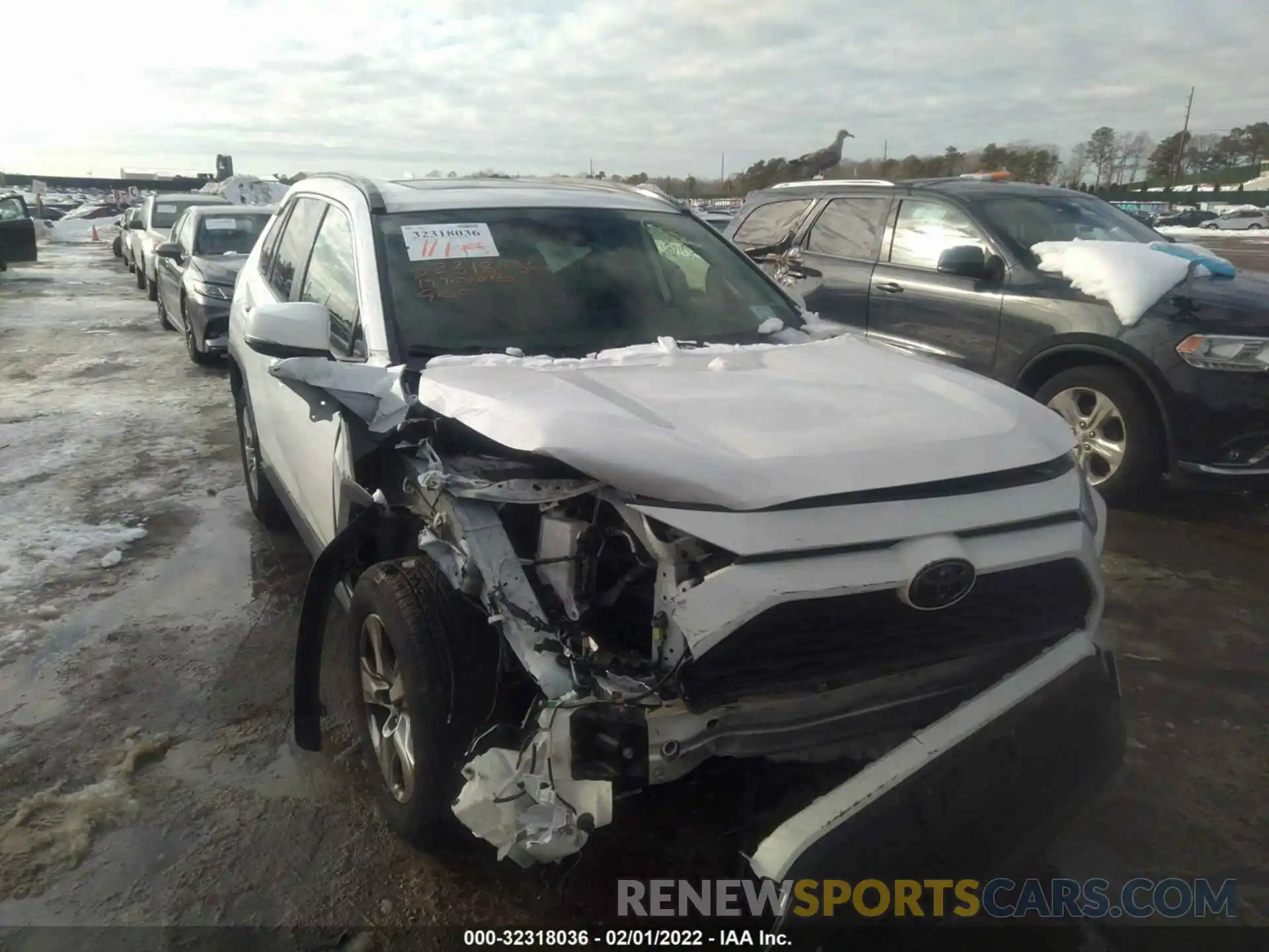 6 Photograph of a damaged car JTMP1RFV9KD031987 TOYOTA RAV4 2019