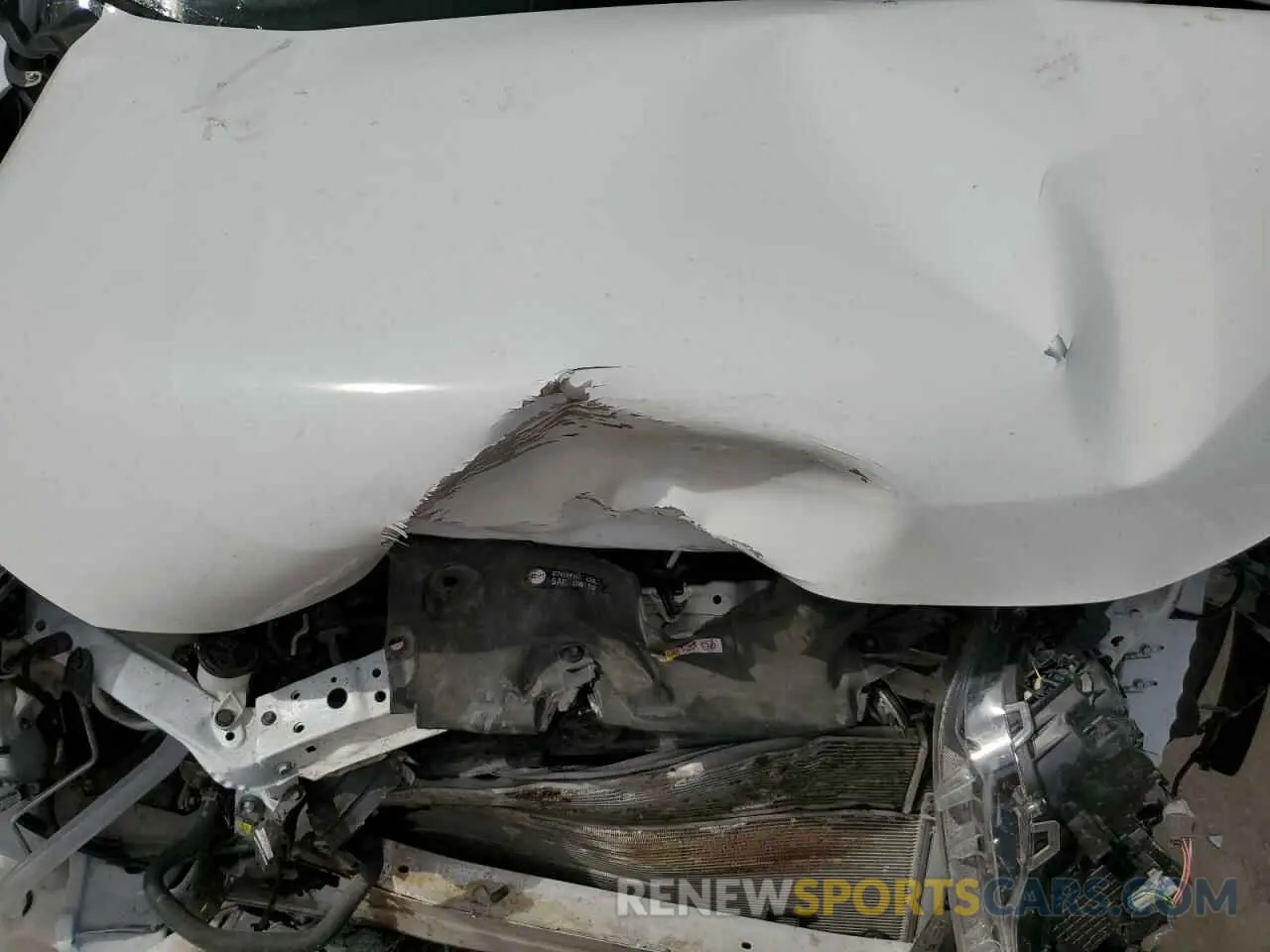 12 Photograph of a damaged car JTMRWRFVXKD516522 TOYOTA RAV4 2019