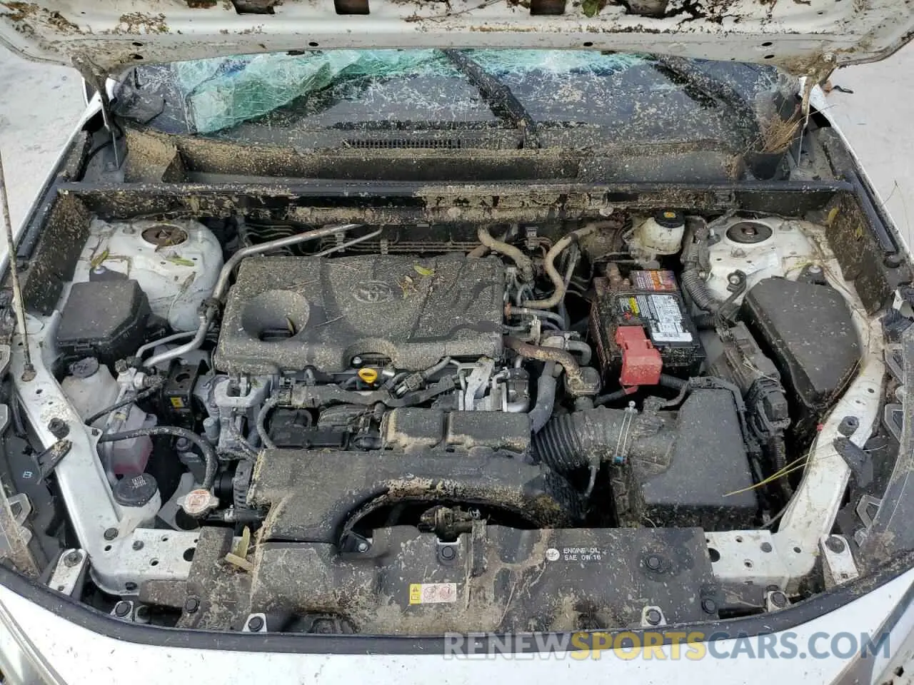 12 Photograph of a damaged car JTMW1RFV2KD019918 TOYOTA RAV4 2019