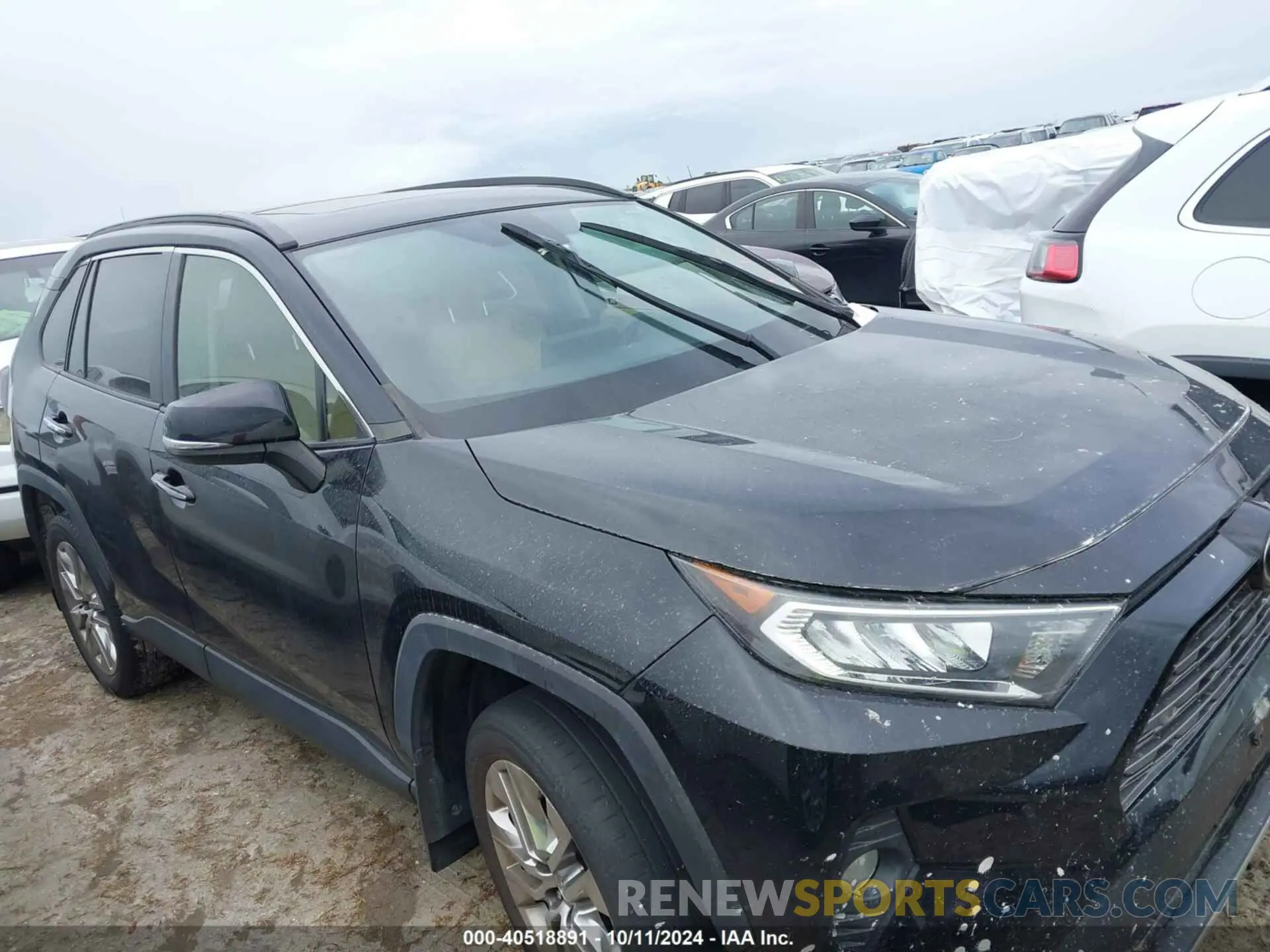13 Photograph of a damaged car JTMY1RFV1KD500865 TOYOTA RAV4 2019