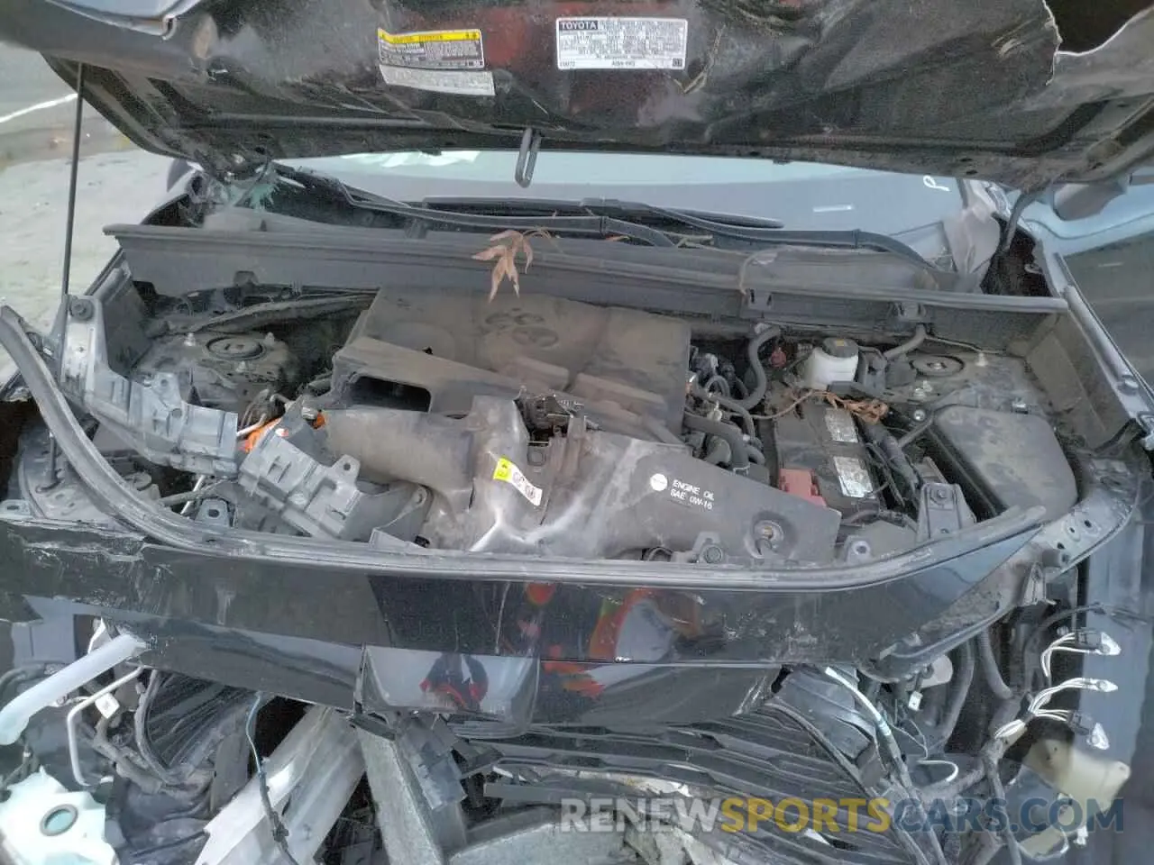 12 Photograph of a damaged car 2T3P1RFV9MW174699 TOYOTA RAV4 2021