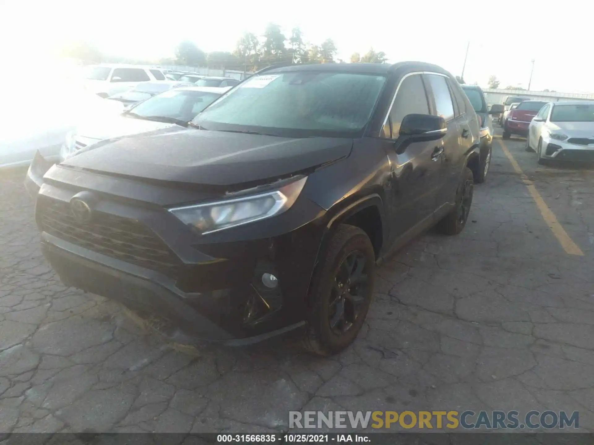 2 Photograph of a damaged car 2T3W1RFV4MC140425 TOYOTA RAV4 2021