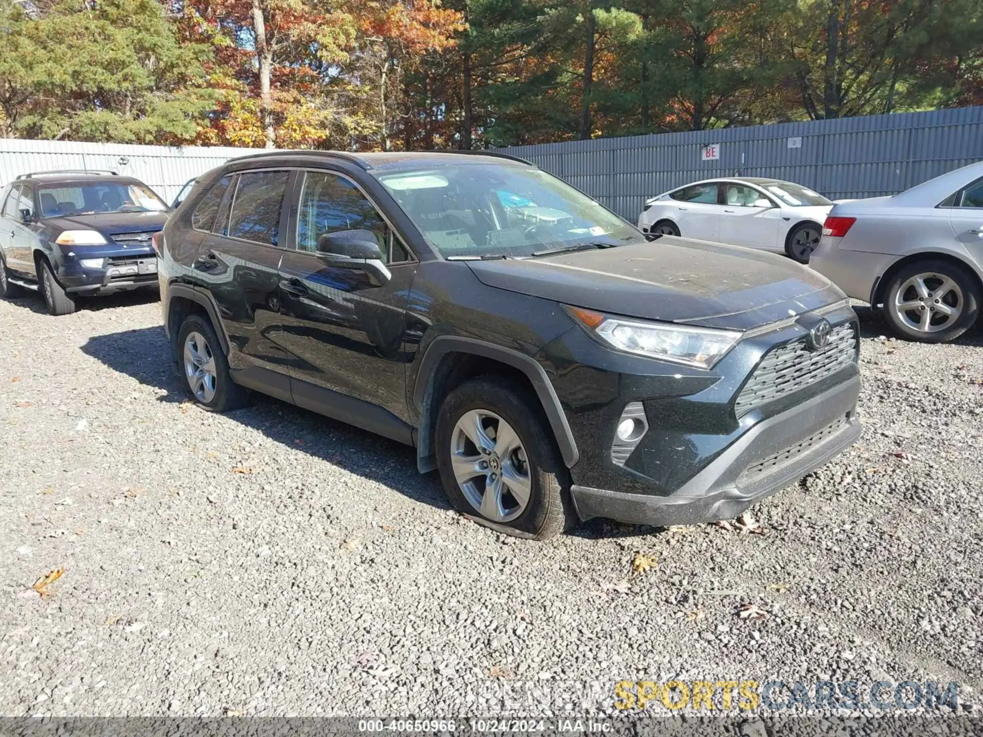 1 Photograph of a damaged car JTMP1RFV5MD078856 TOYOTA RAV4 2021