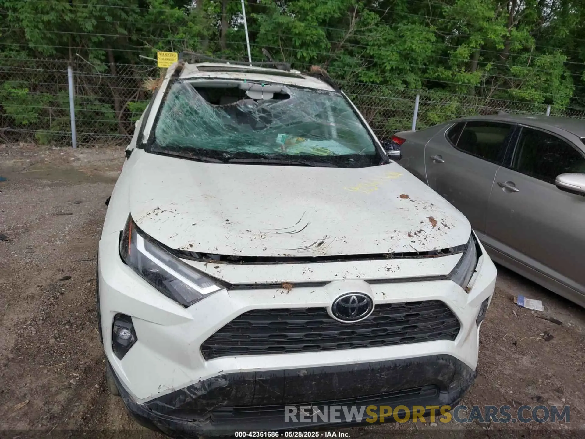 12 Photograph of a damaged car 2T3A1RFV1NW312419 TOYOTA RAV4 2022
