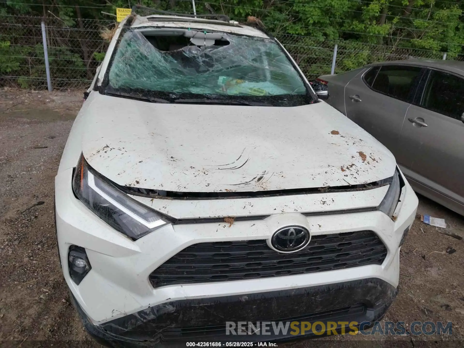 17 Photograph of a damaged car 2T3A1RFV1NW312419 TOYOTA RAV4 2022