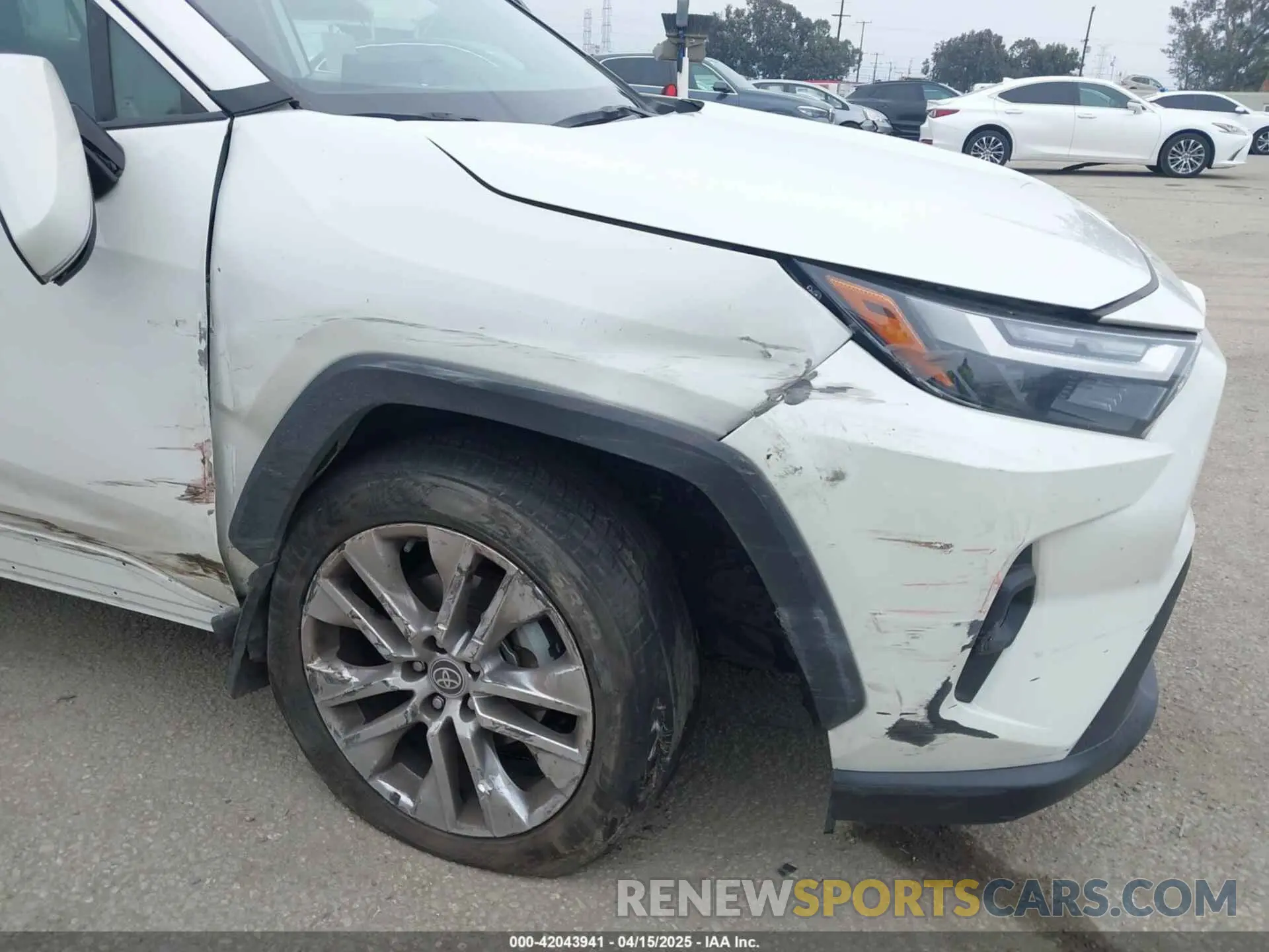 6 Photograph of a damaged car 2T3C1RFV3NW231009 TOYOTA RAV4 2022