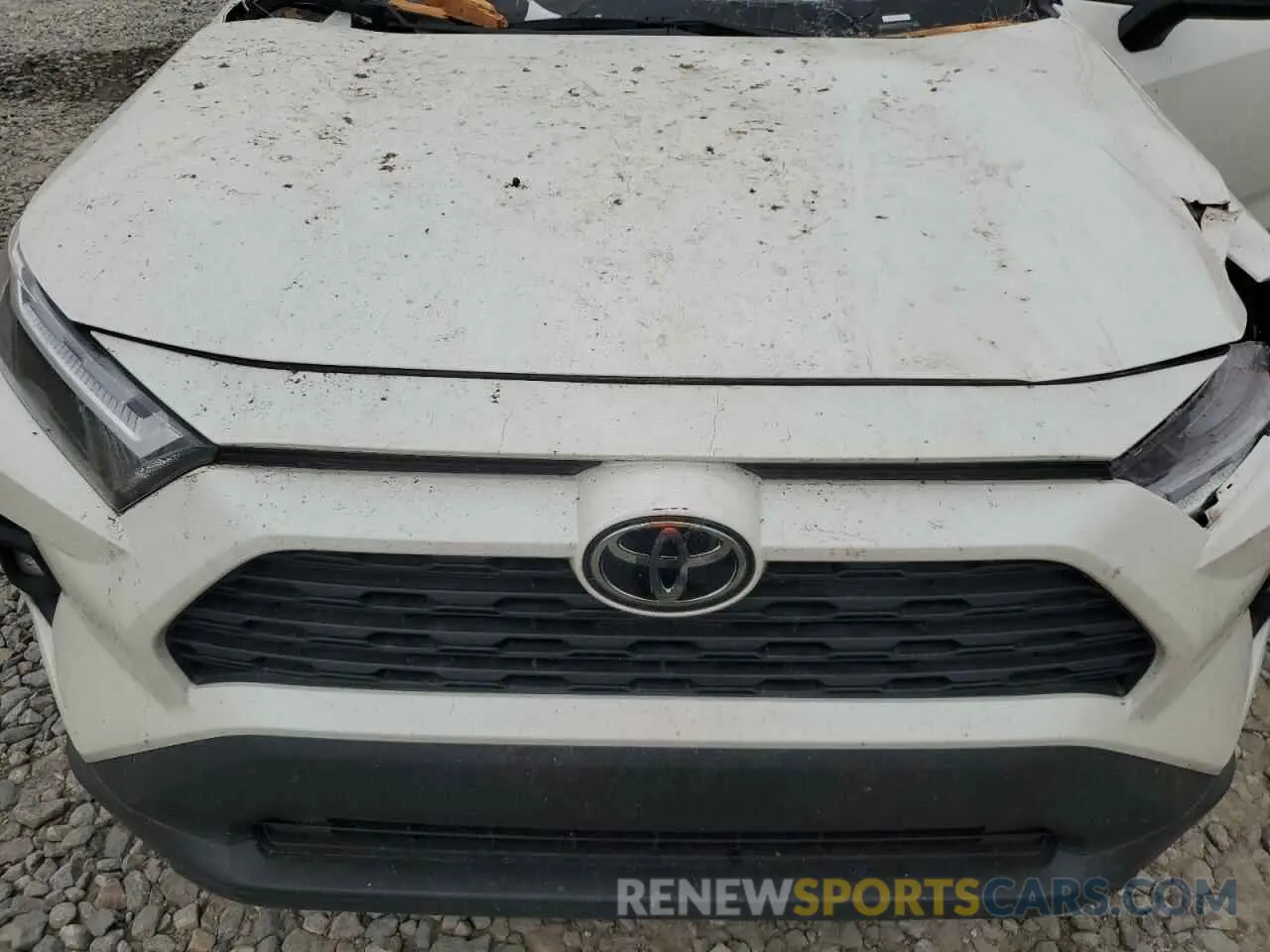 12 Photograph of a damaged car 2T3C1RFV8NW190215 TOYOTA RAV4 2022