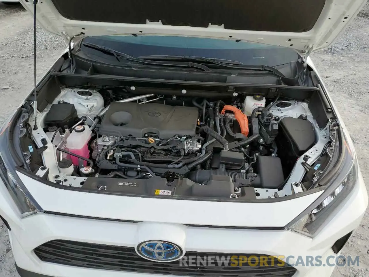 11 Photograph of a damaged car 2T3MWRFV7NW141240 TOYOTA RAV4 2022