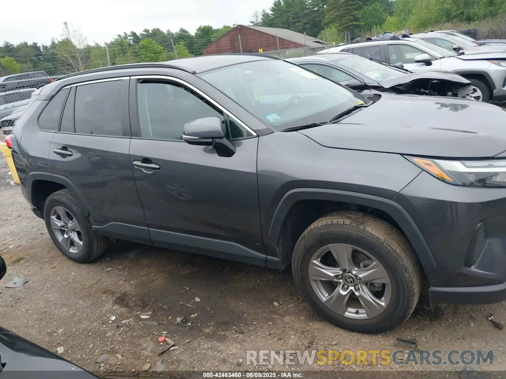 13 Photograph of a damaged car 2T3P1RFV2NW285709 TOYOTA RAV4 2022