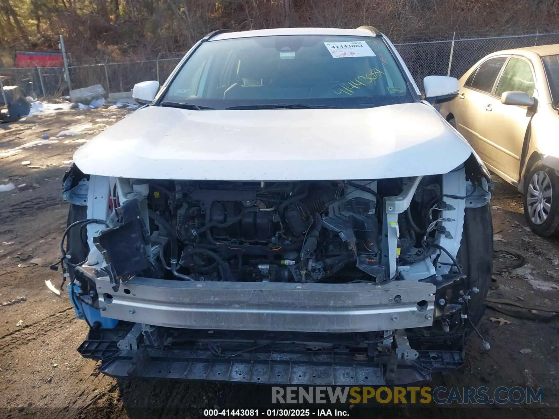 13 Photograph of a damaged car 2T3P1RFVXNC259523 TOYOTA RAV4 2022