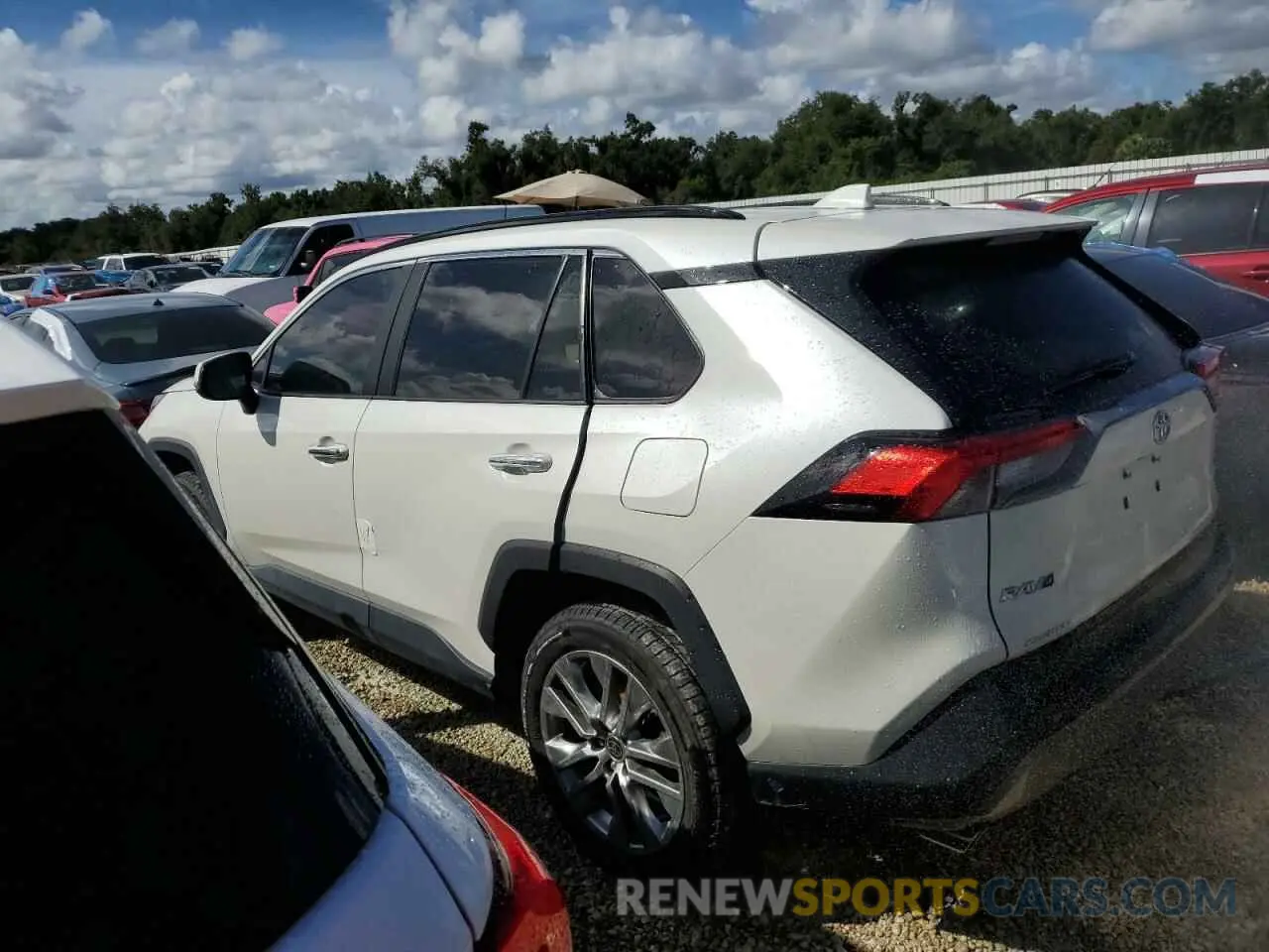 2 Photograph of a damaged car 2T3Y1RFV4NW192632 TOYOTA RAV4 2022